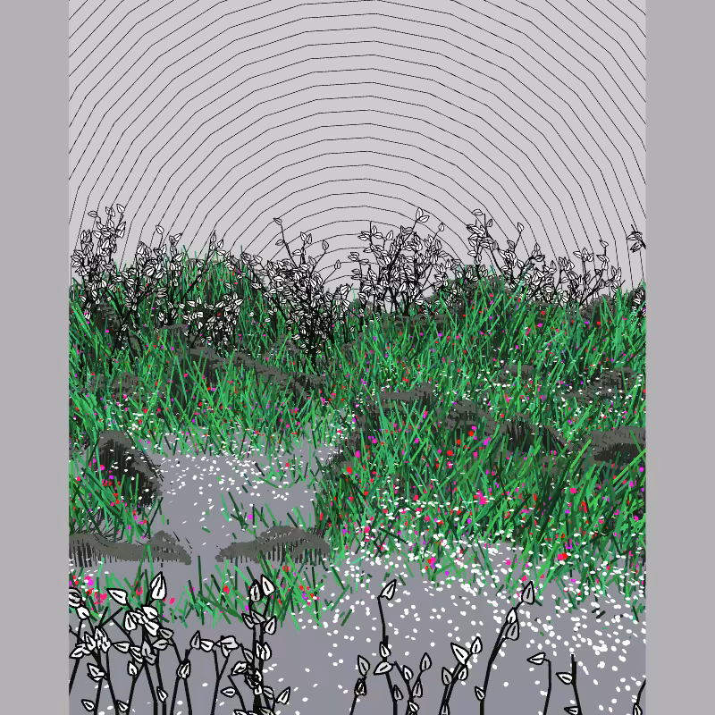 Contours #85
