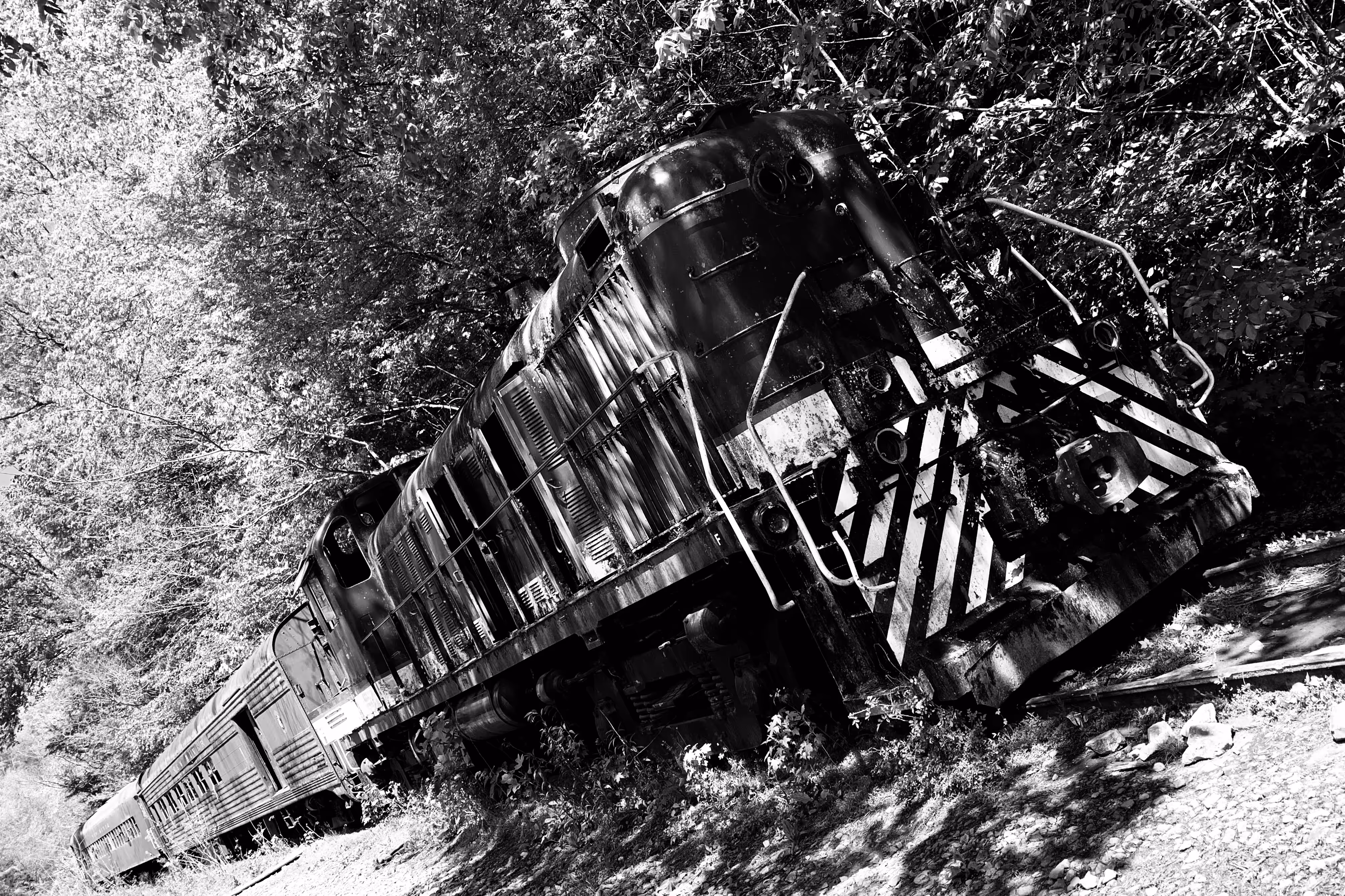 “New River Scenic Railway 9”