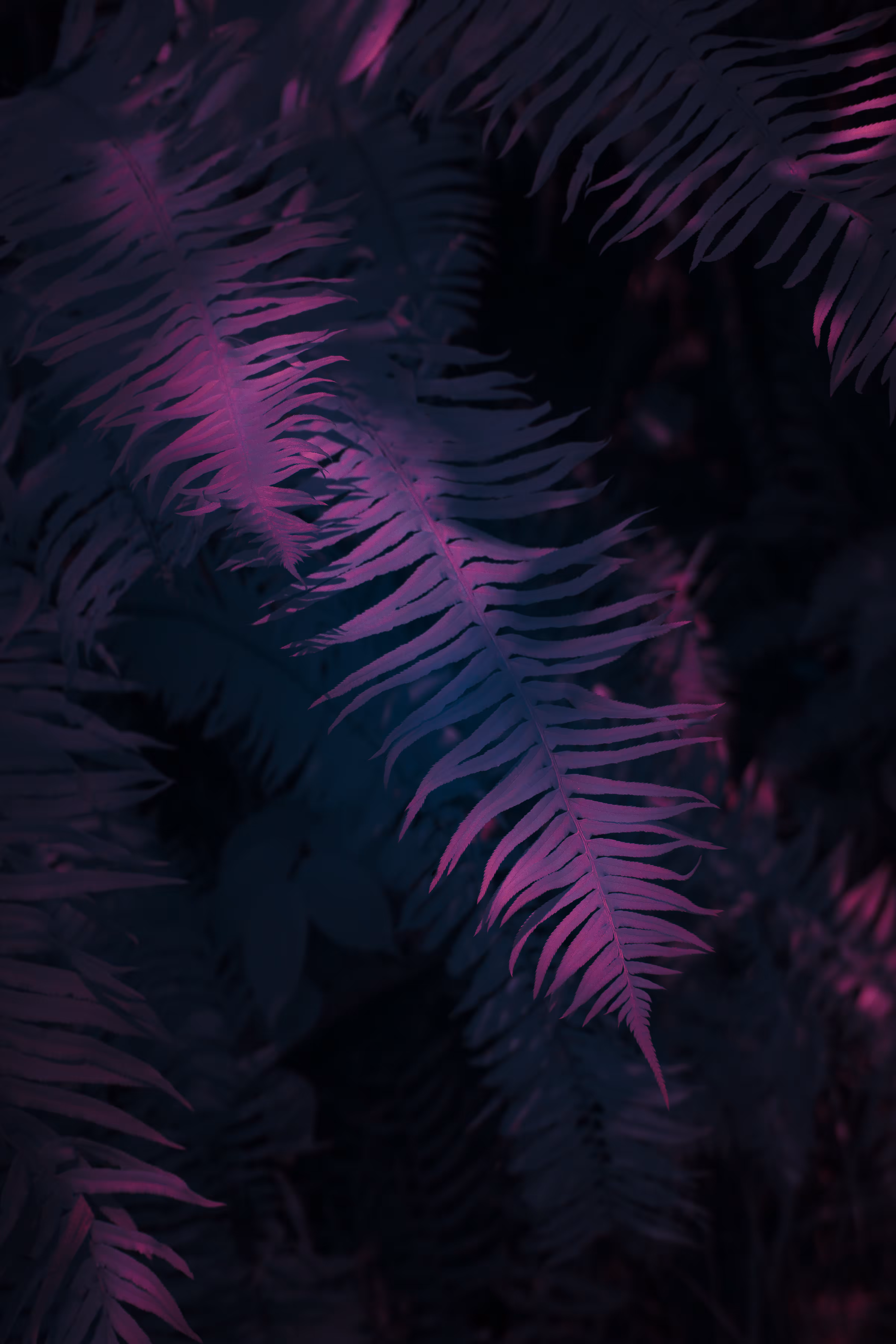 INVISIBLE EARTH 010 //