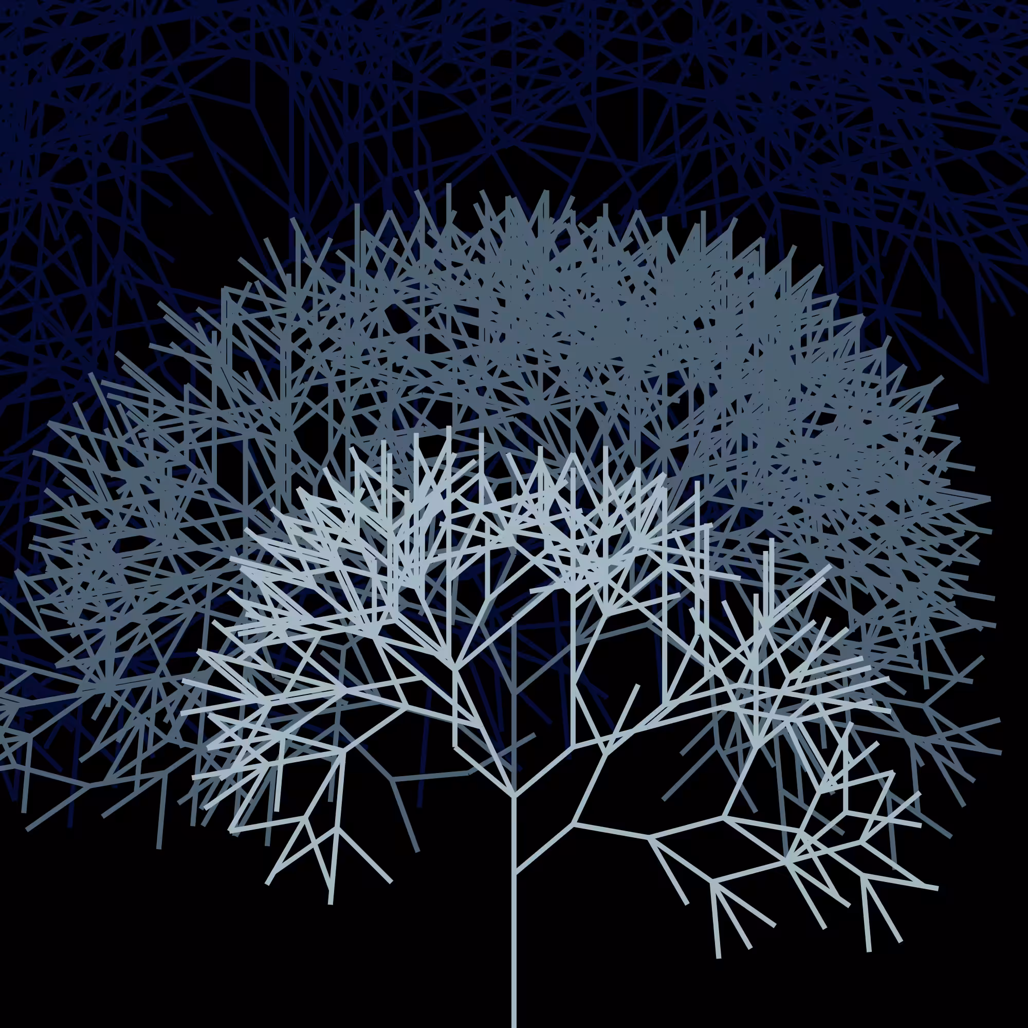 Collection Trees