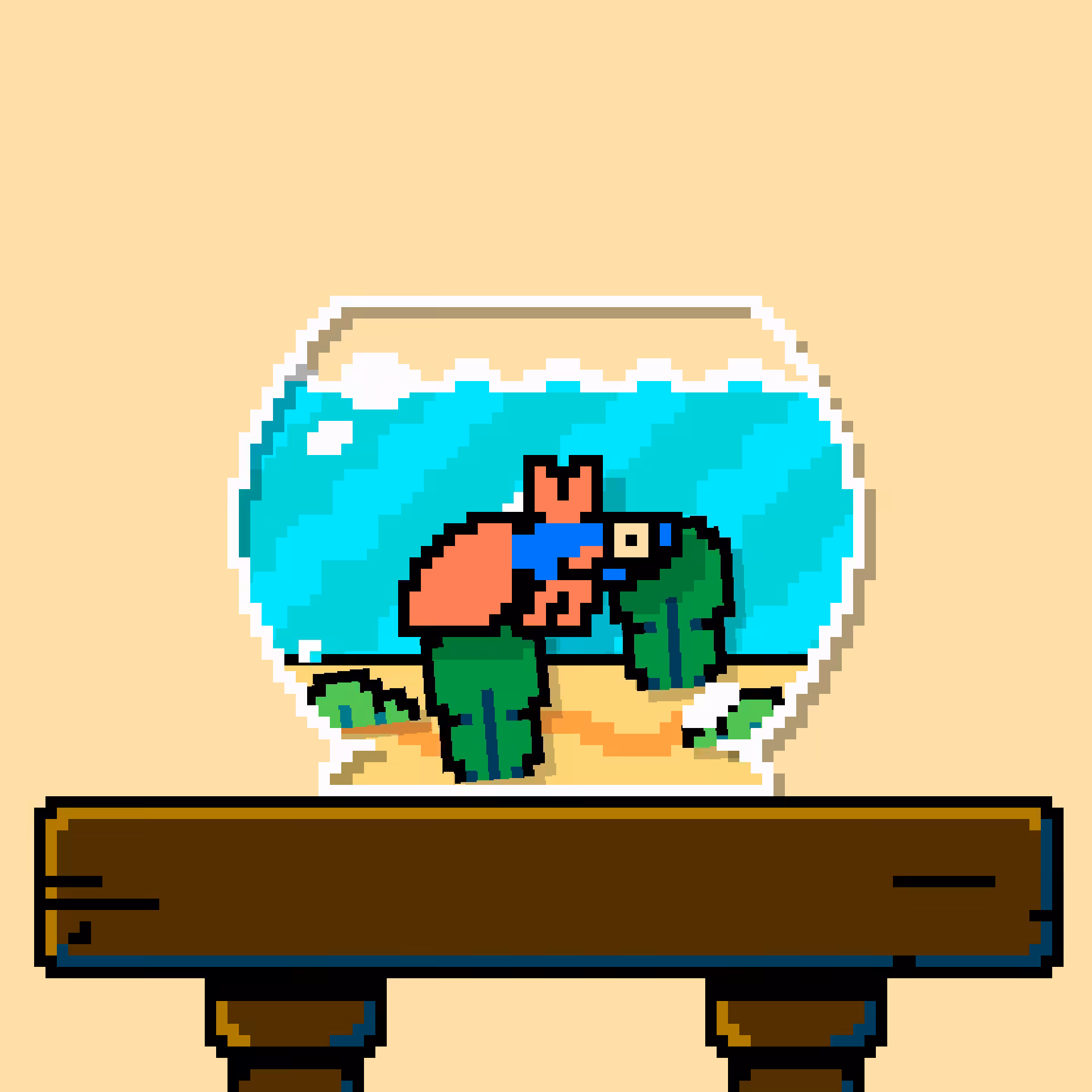 betta fish #428