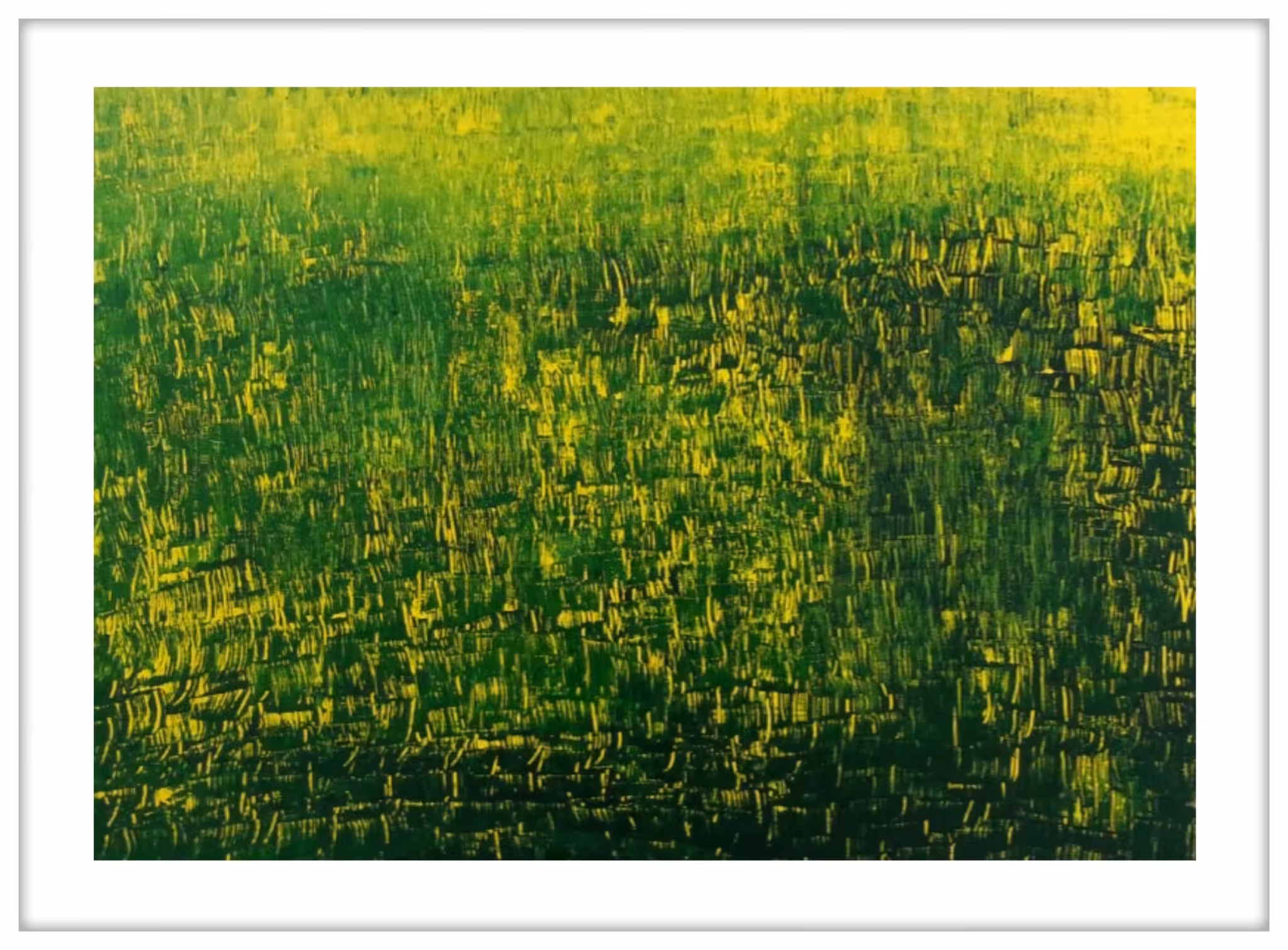 Green lawn