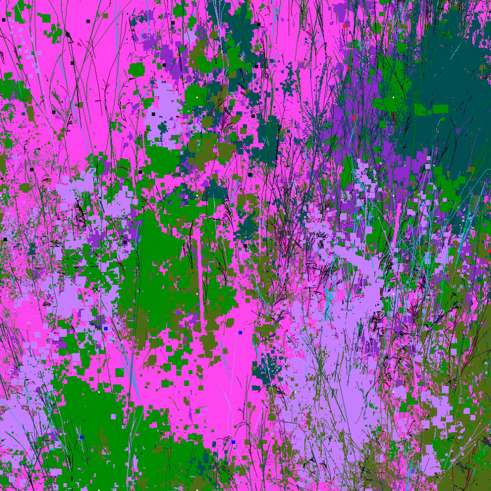 Infinite Garden: 35526 Flowers