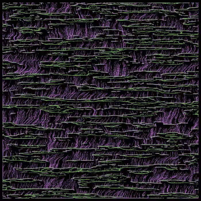 magical swamp #42