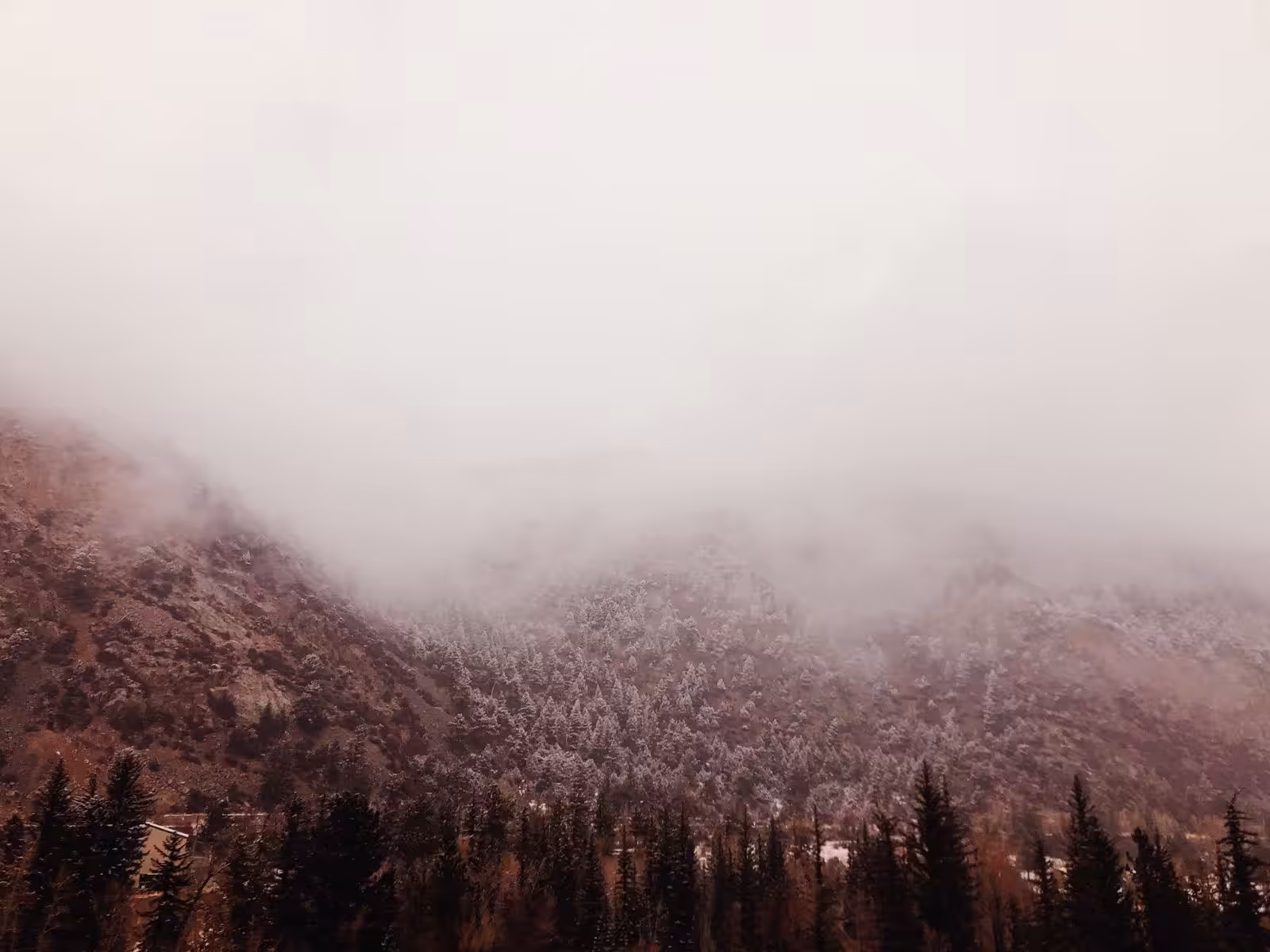 fog