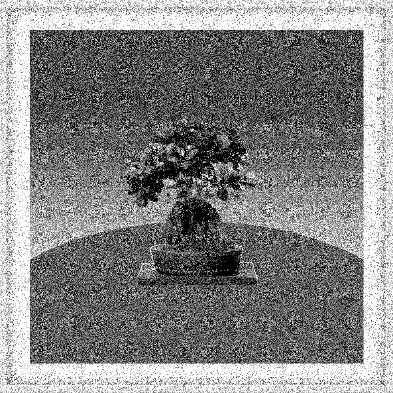 Bonsai Bonanza #120