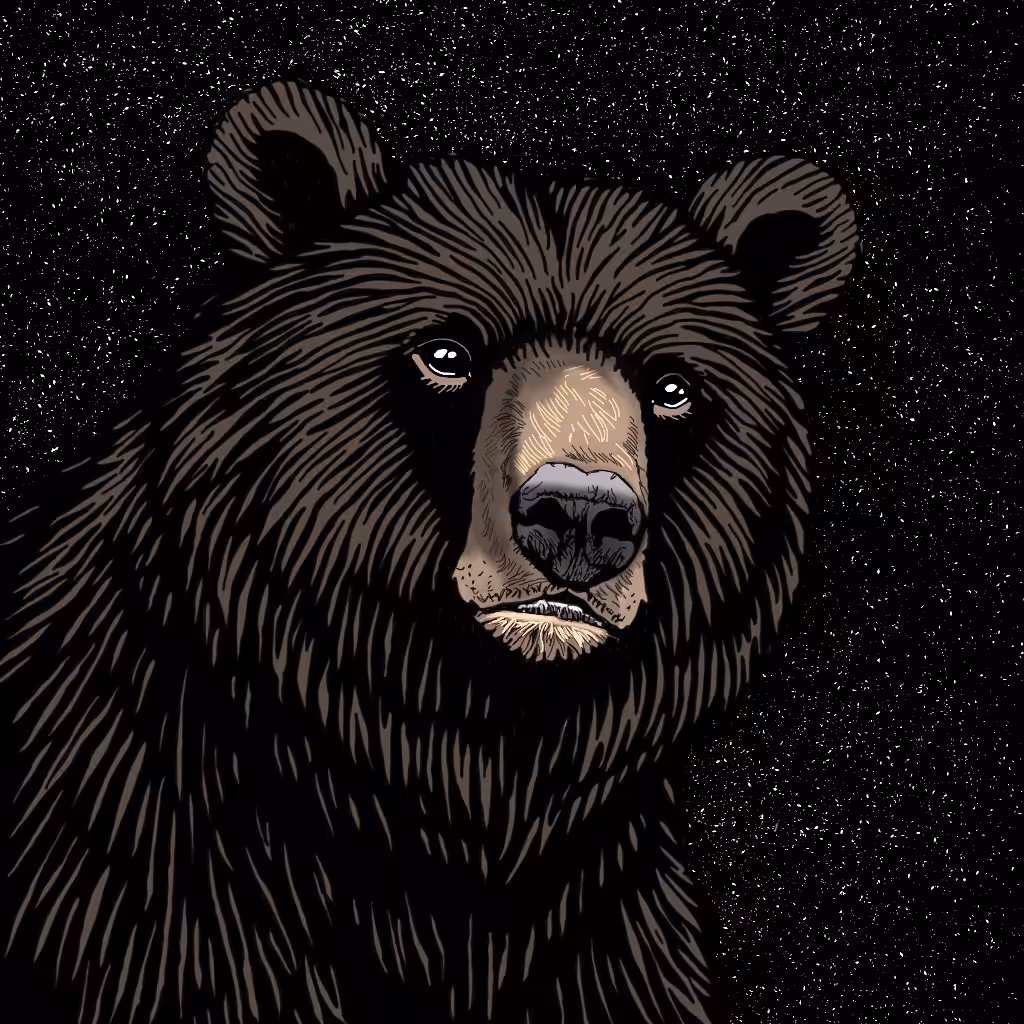 Celestial Bear