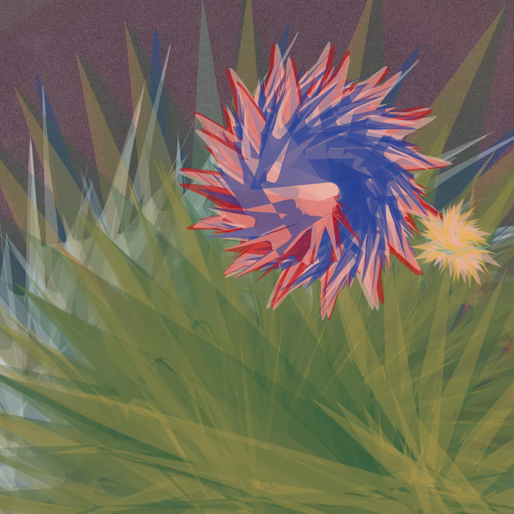Tillandsia-B #1