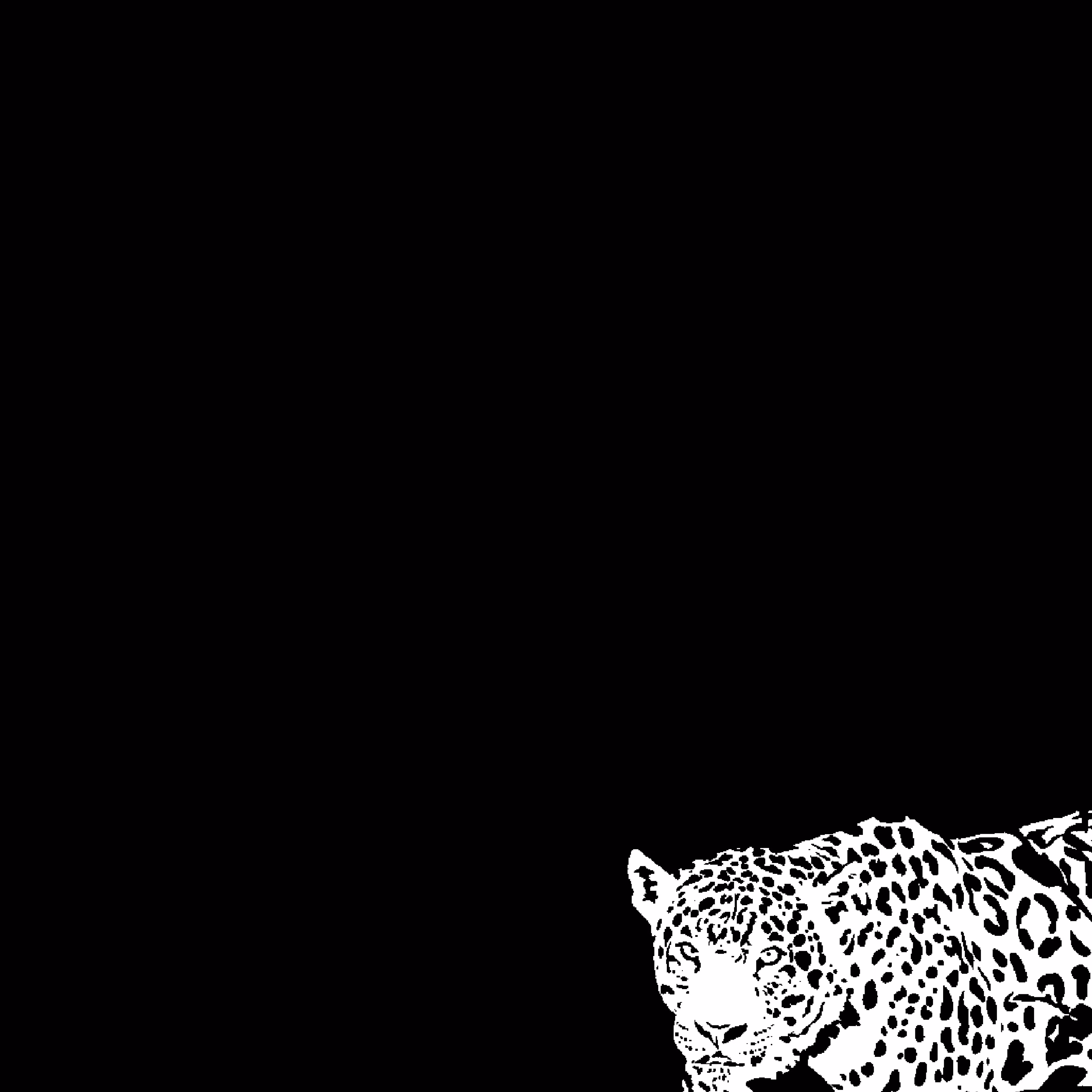 The Jaguar
