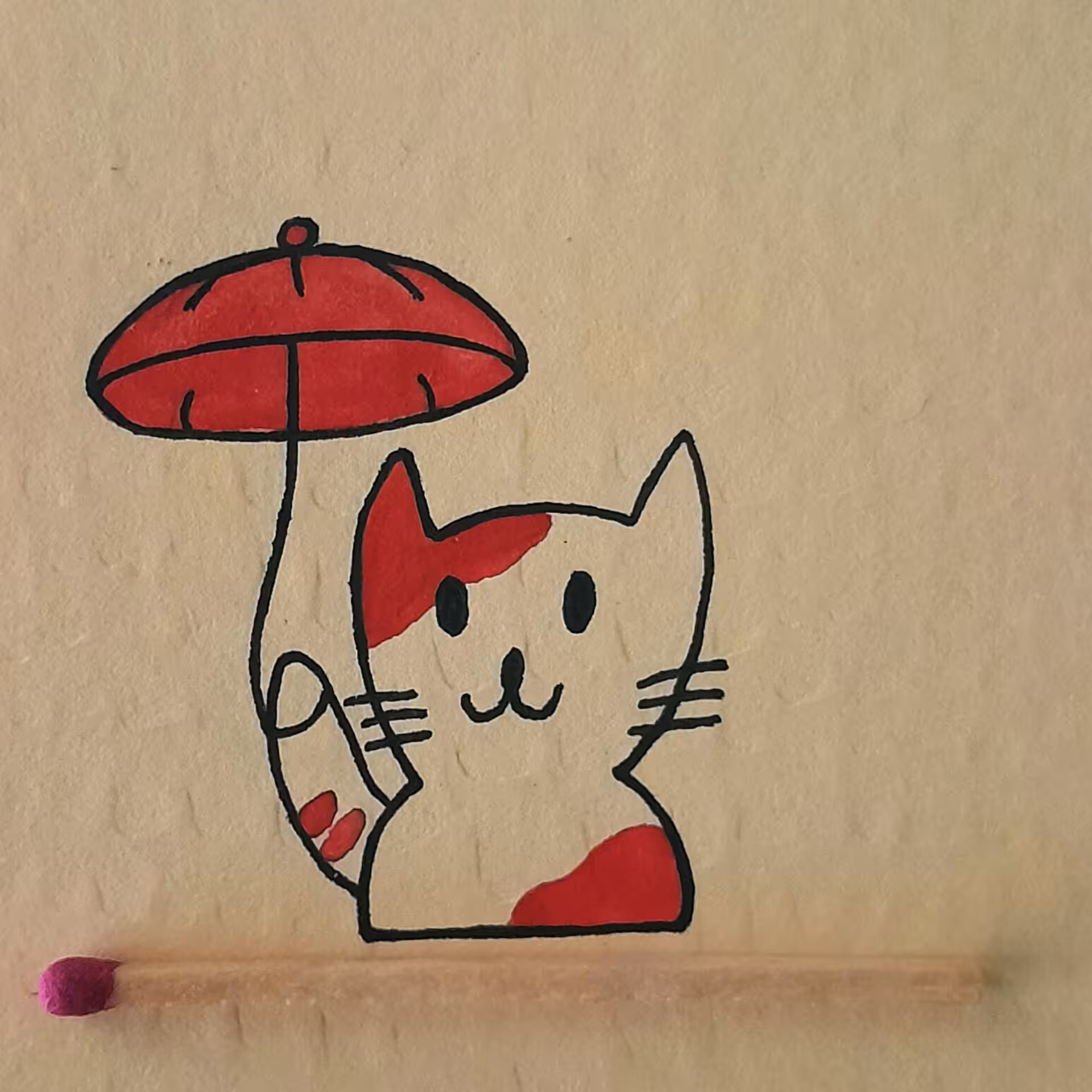 Cat 2