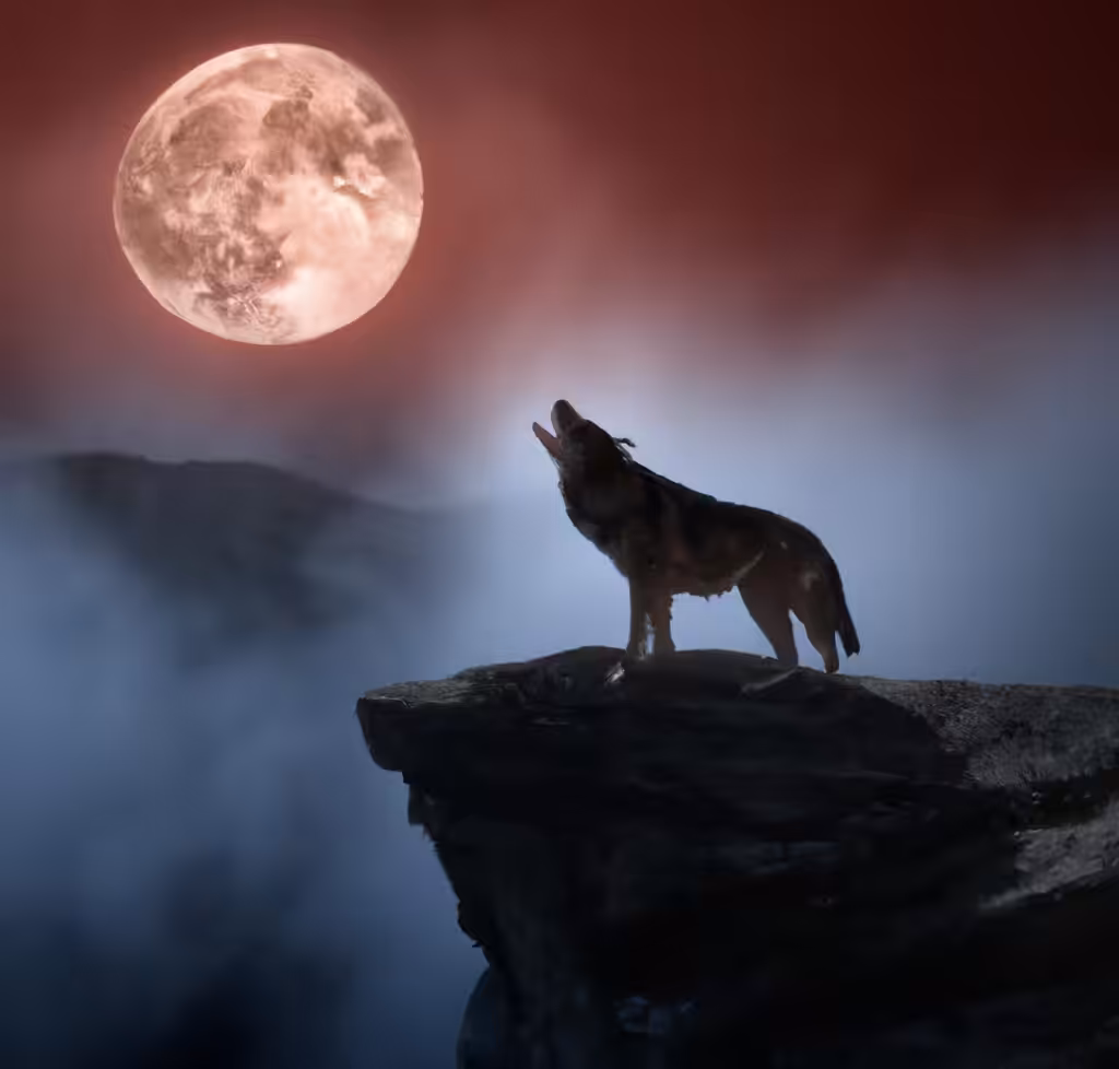 Wolf’s Light
