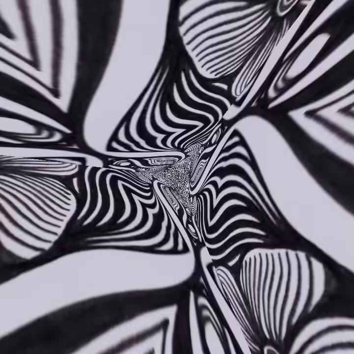 Flowing Monochrome Symphony