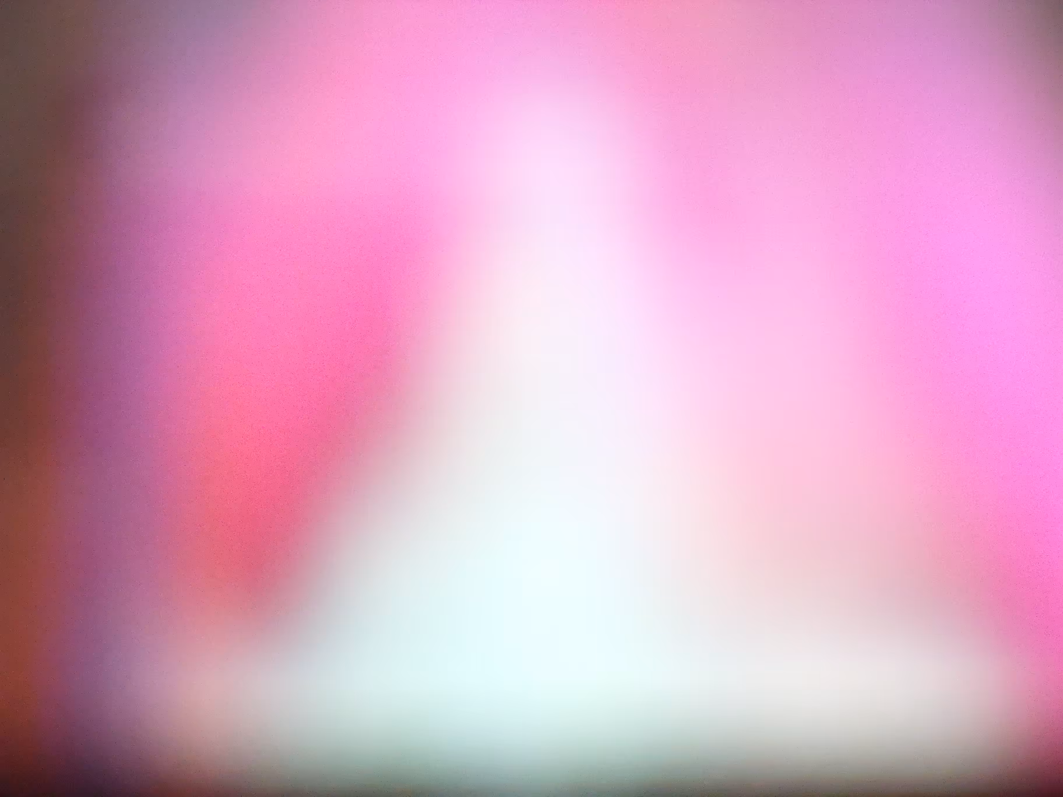 VHS #4