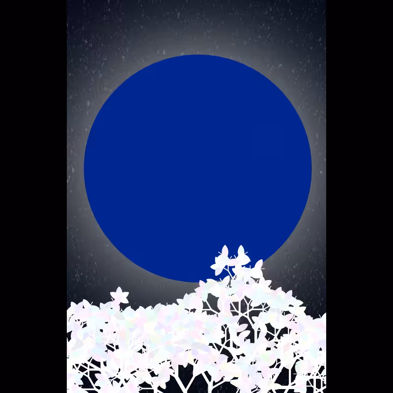 Moonlight Sonata #11