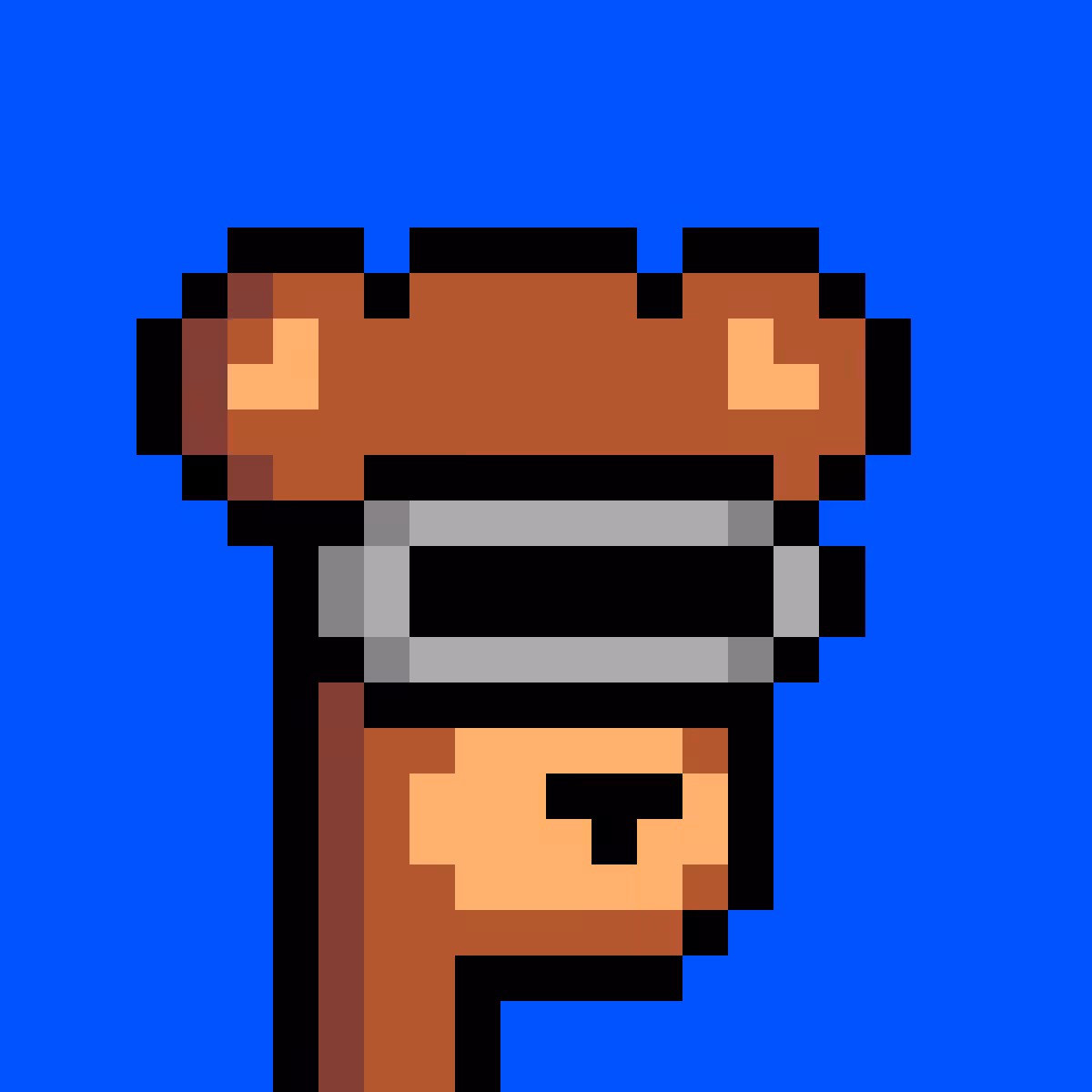 BearPunks #255
