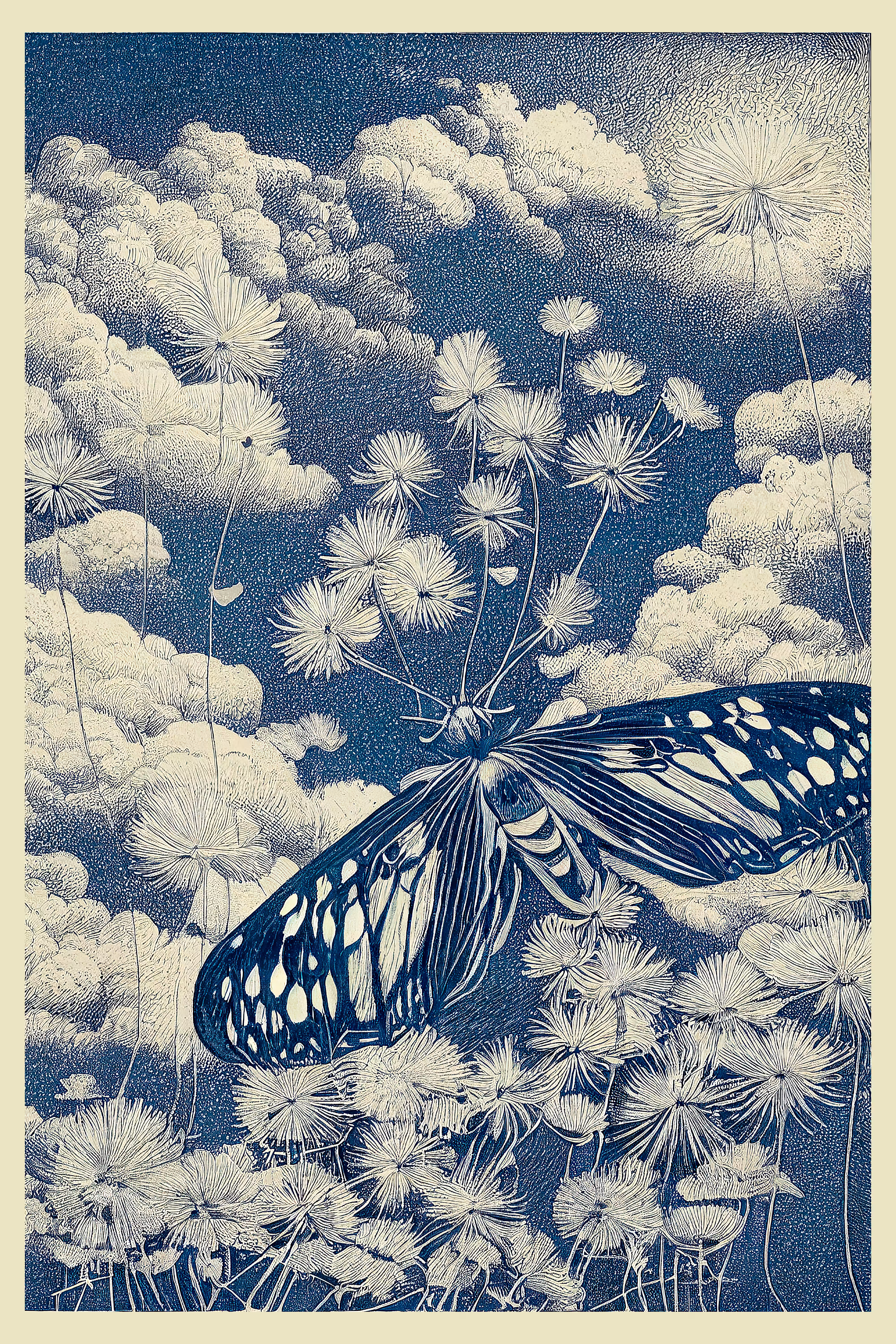 Dreams Unfurled, Wings Unfolded.