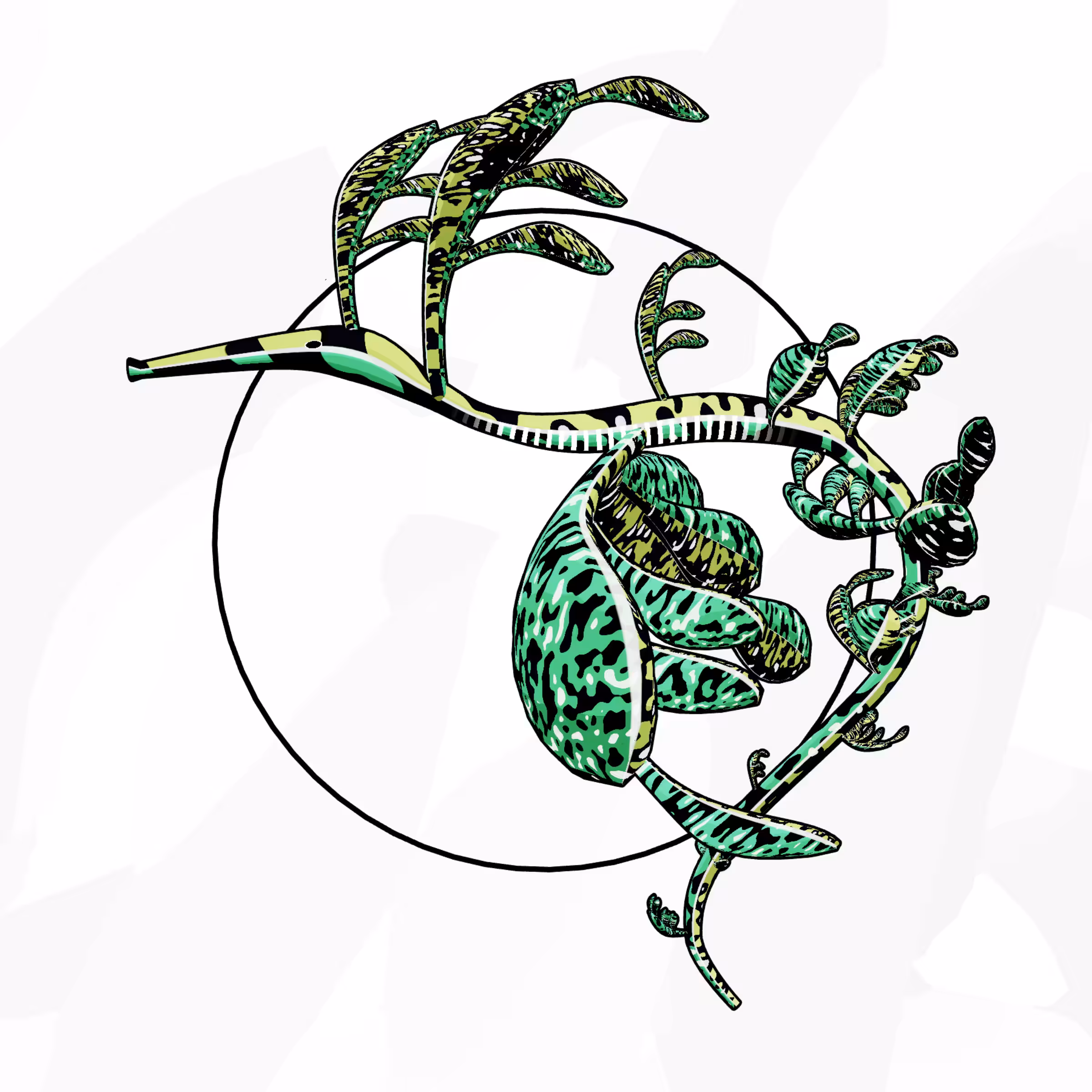 Seadragons #72