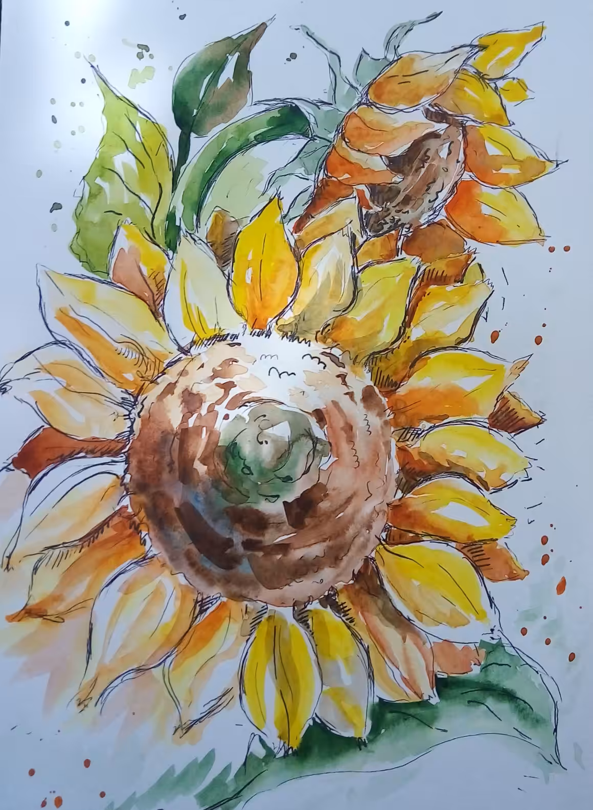 Warm Sunflowers