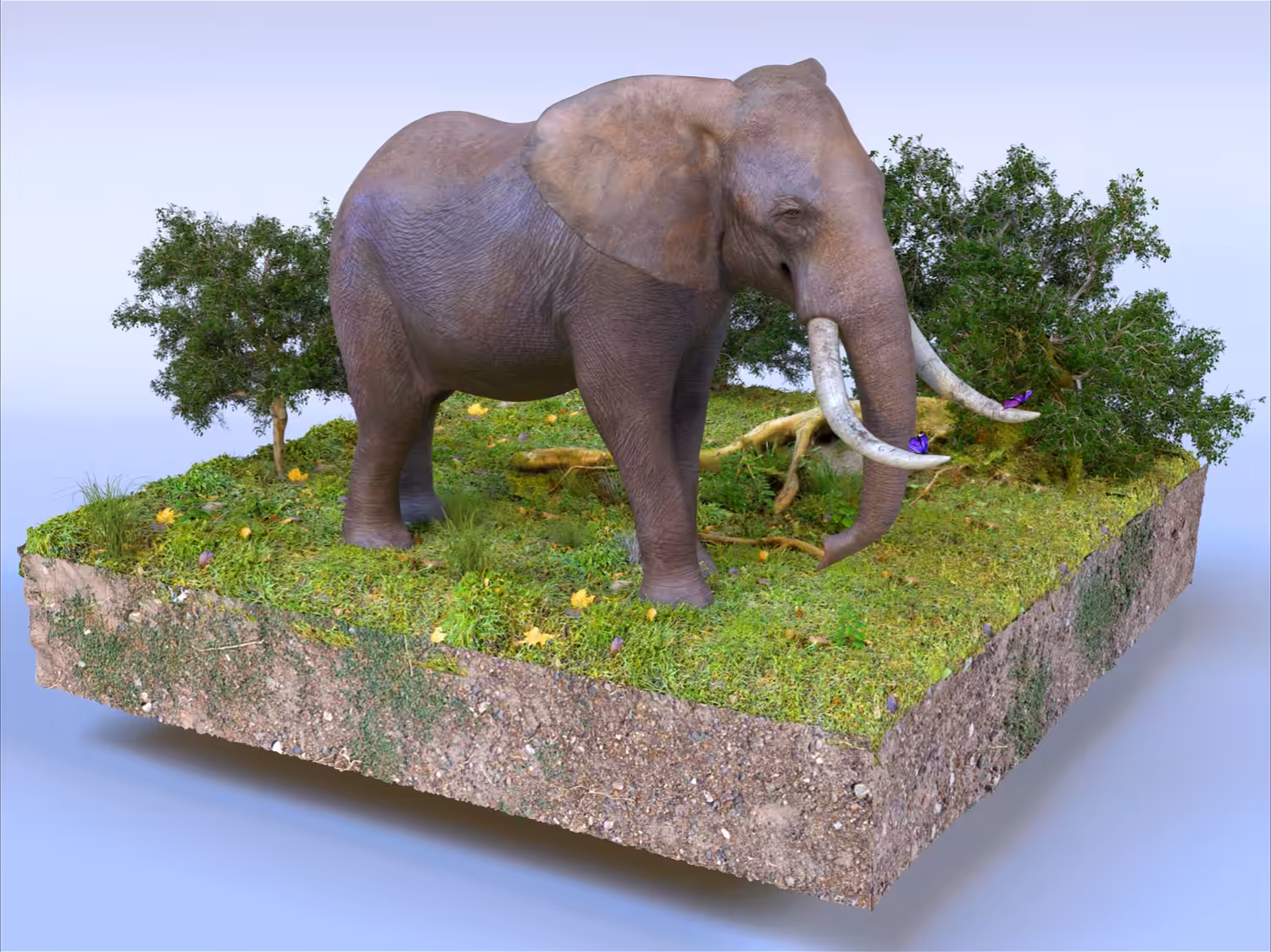 Elephant