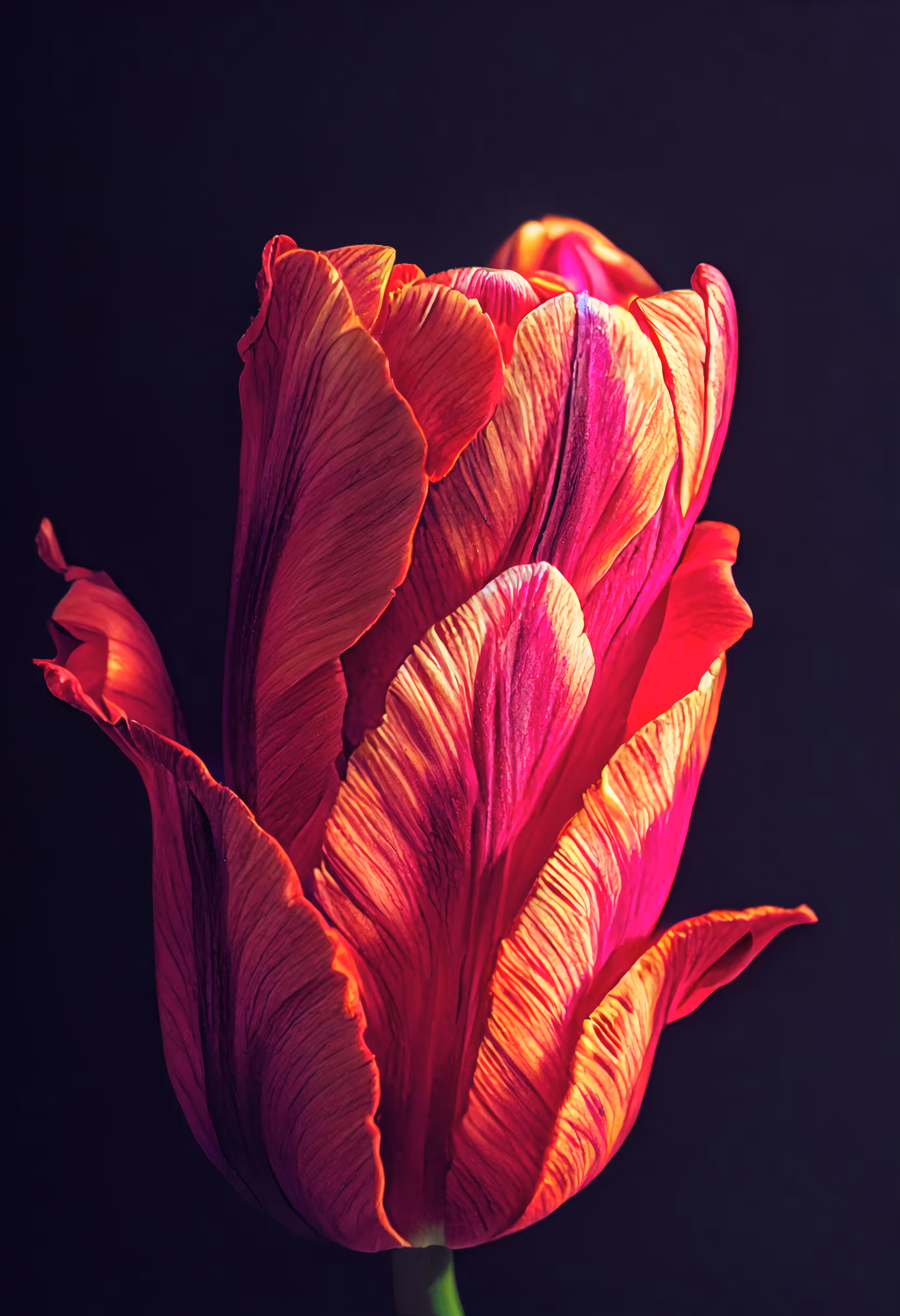 A Flower, Just For You. #9