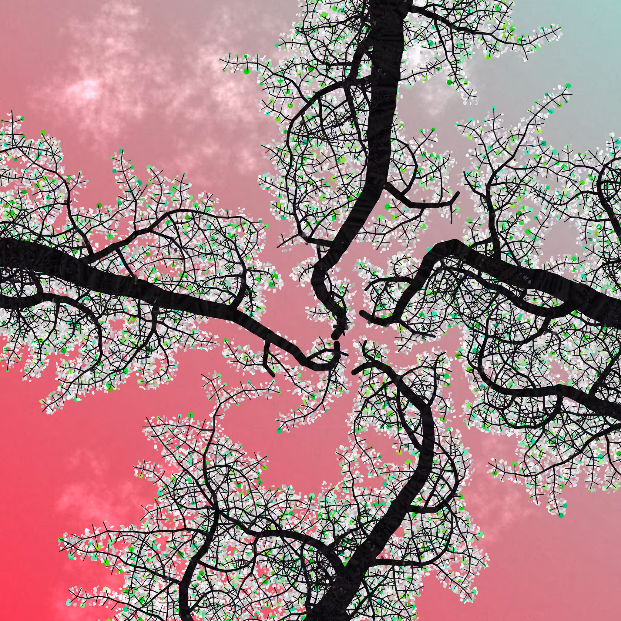 Tree Skyness #162