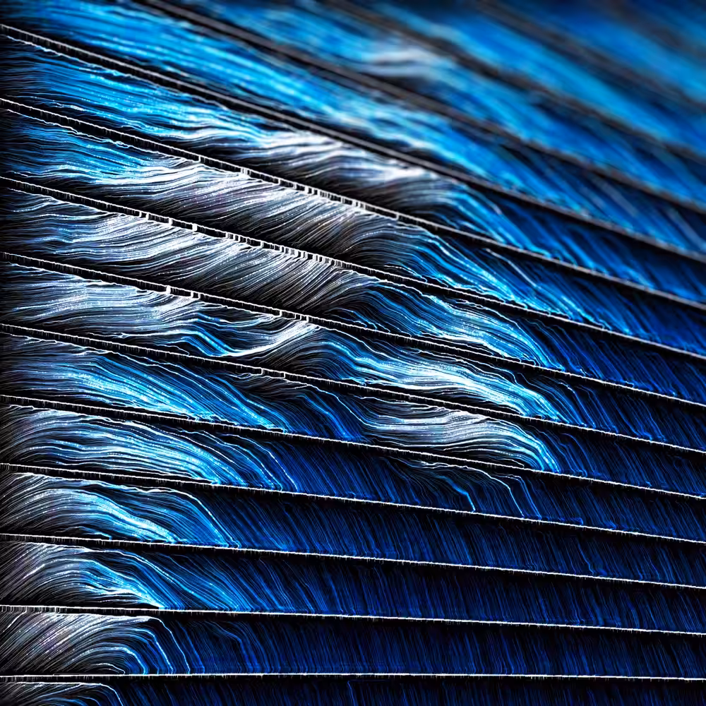 blue lines down