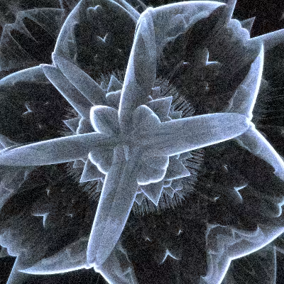 Electron Microscopy #44