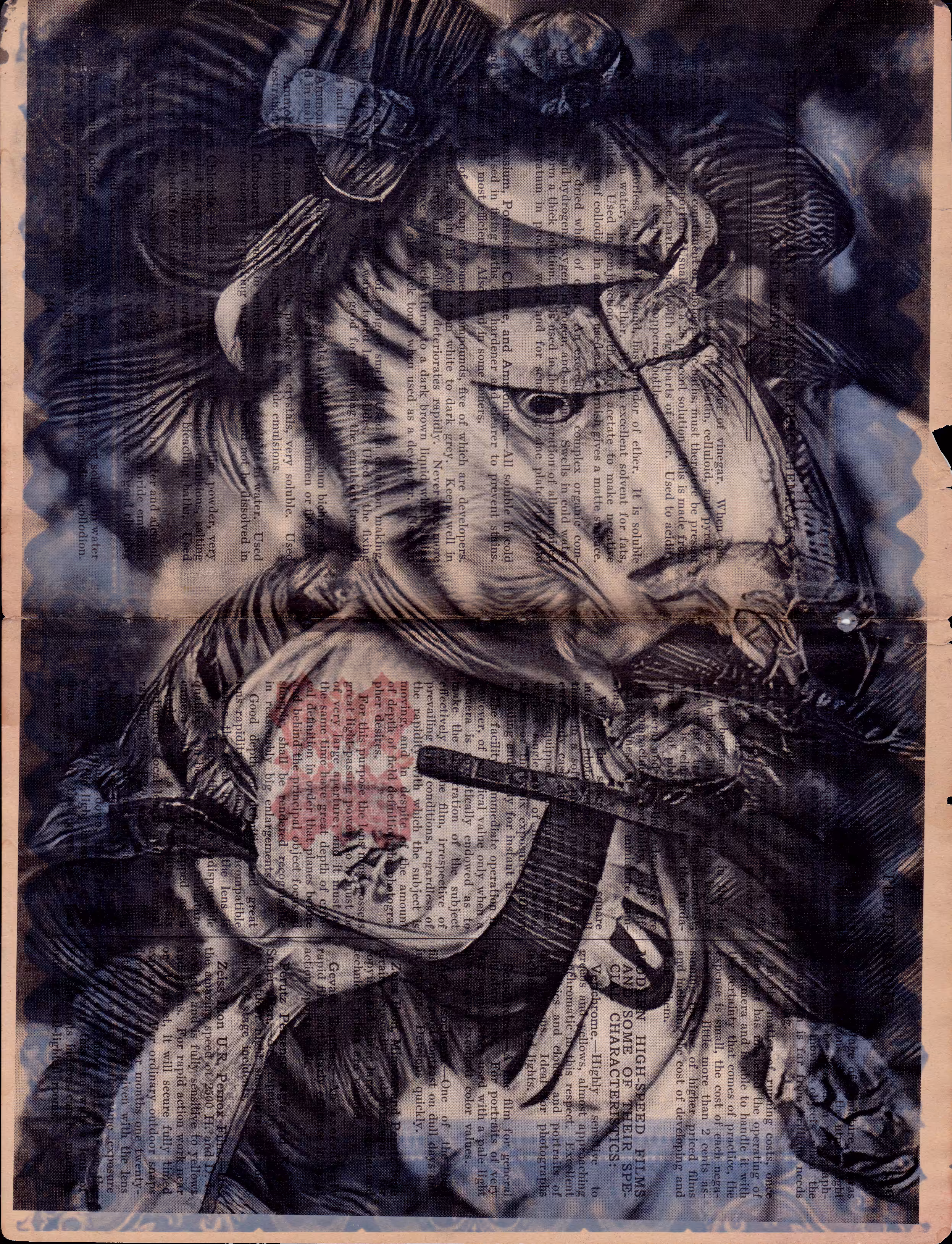 Guī•Japonica oo5