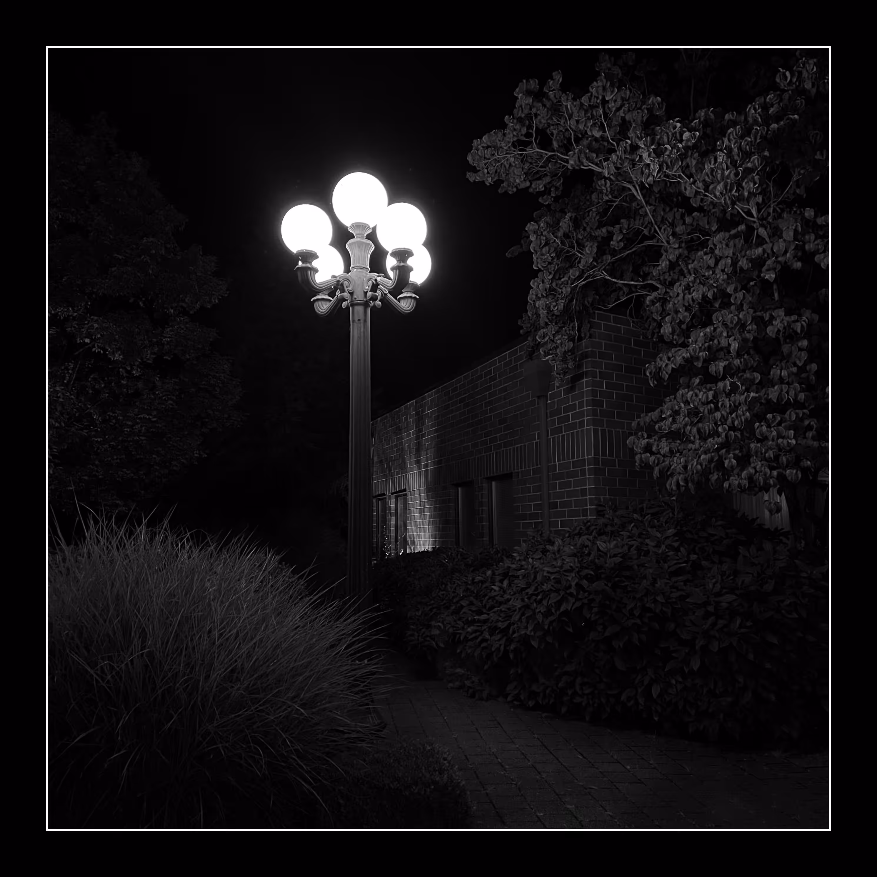 Stroll: July 18, 2023 • 11:56pm