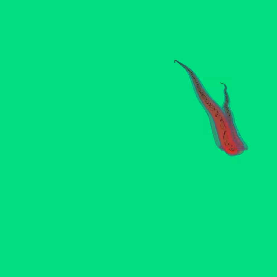 Metawormoid #8