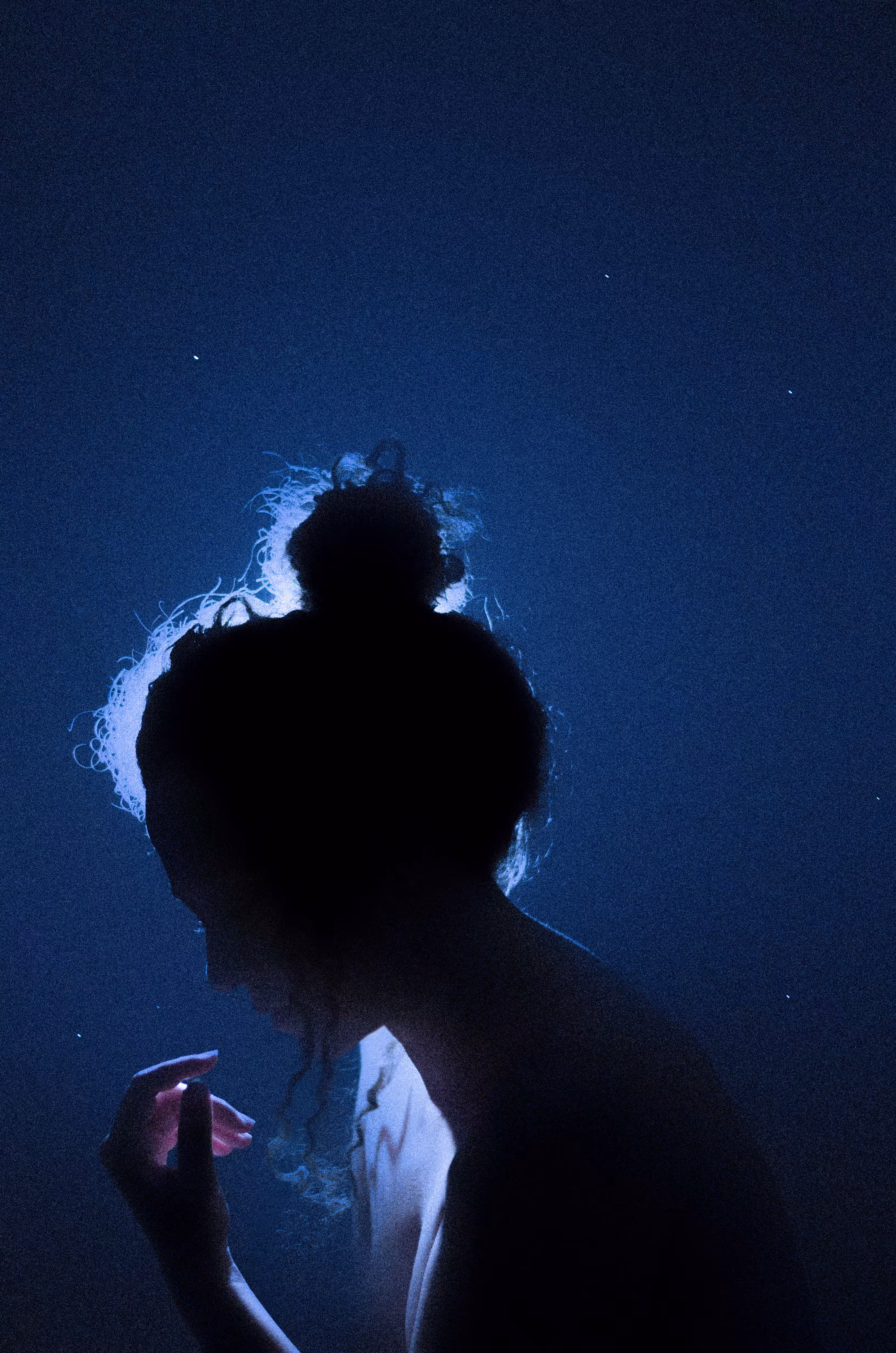 Stardust