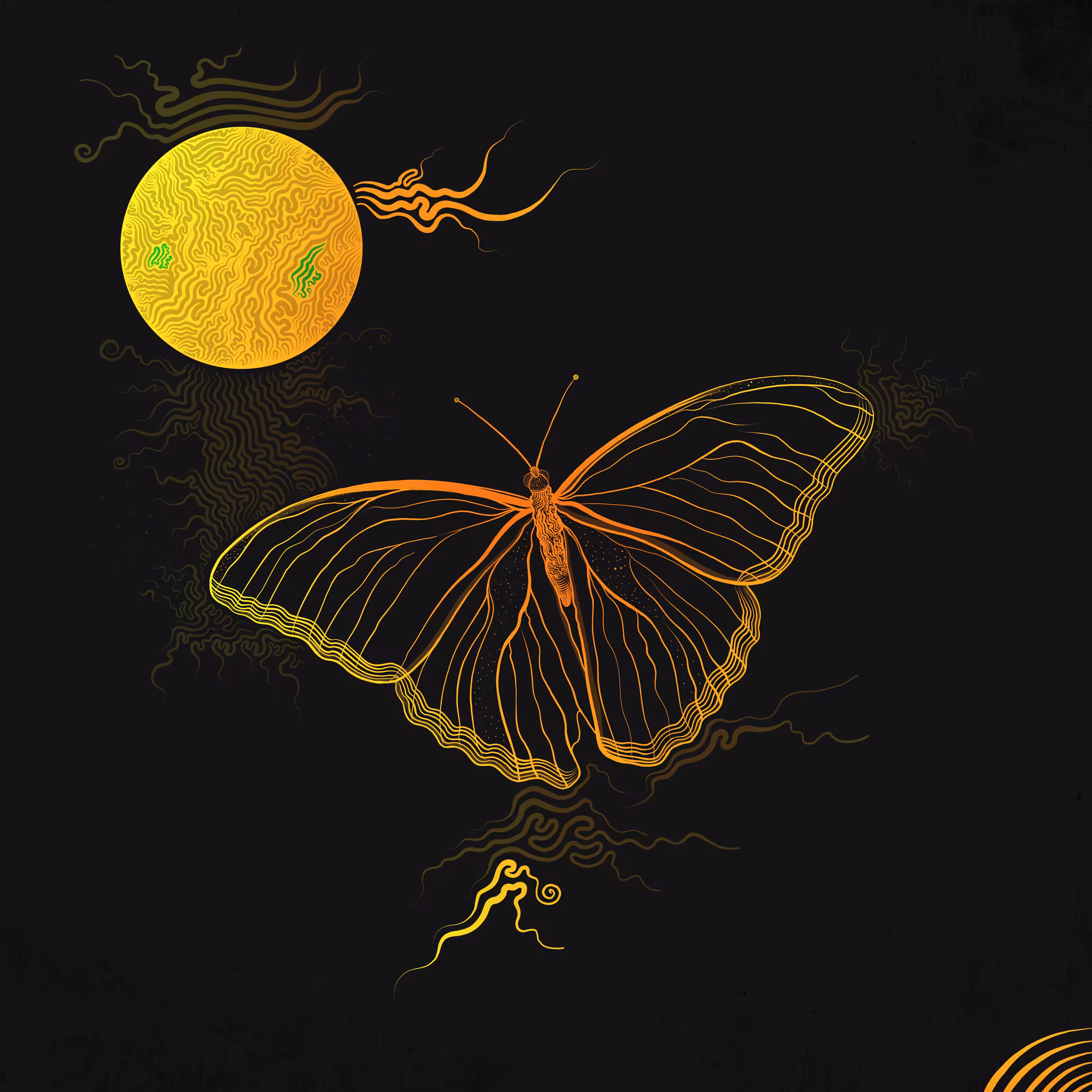 Butterfly Effect