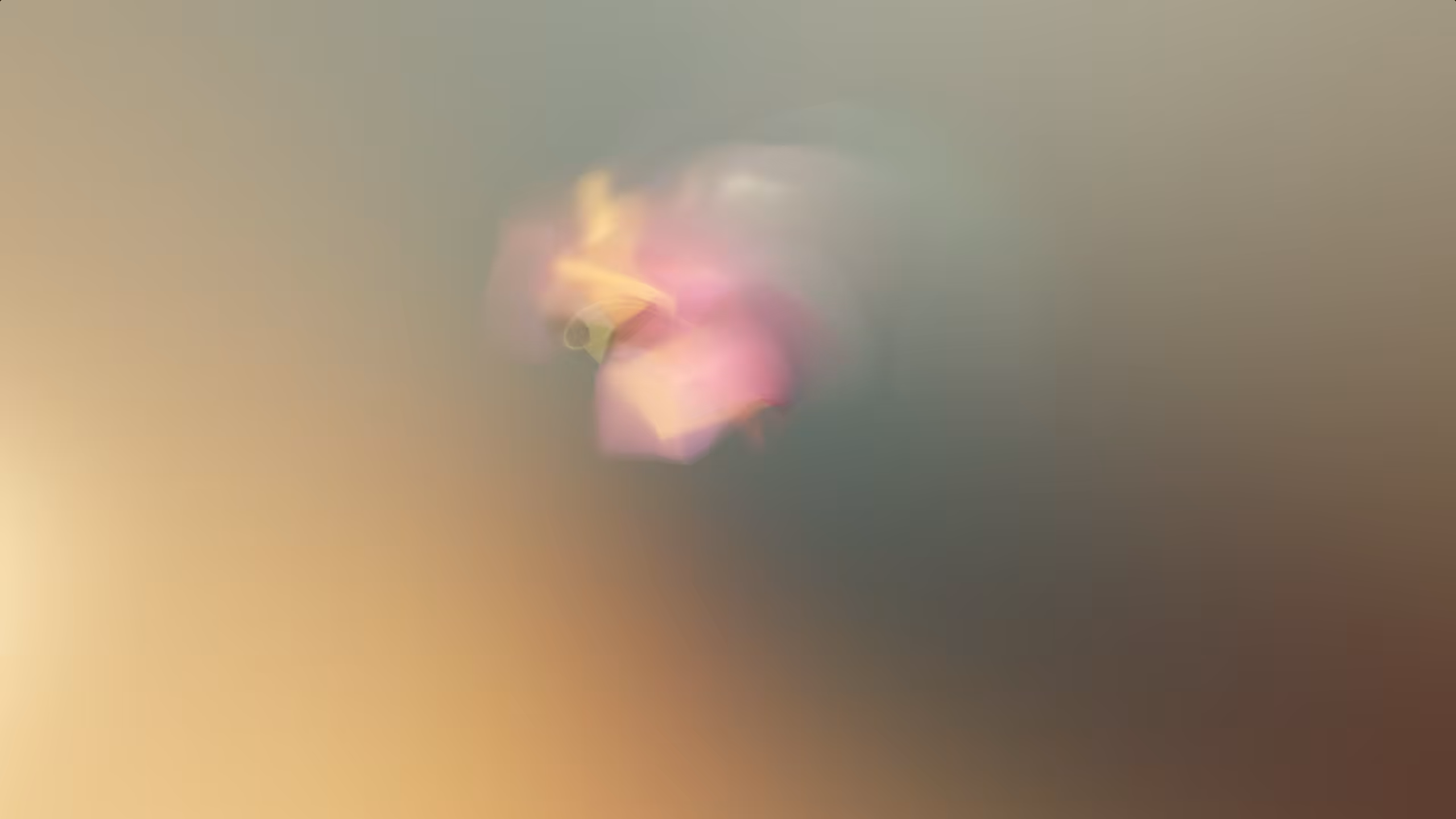 Exposure 12