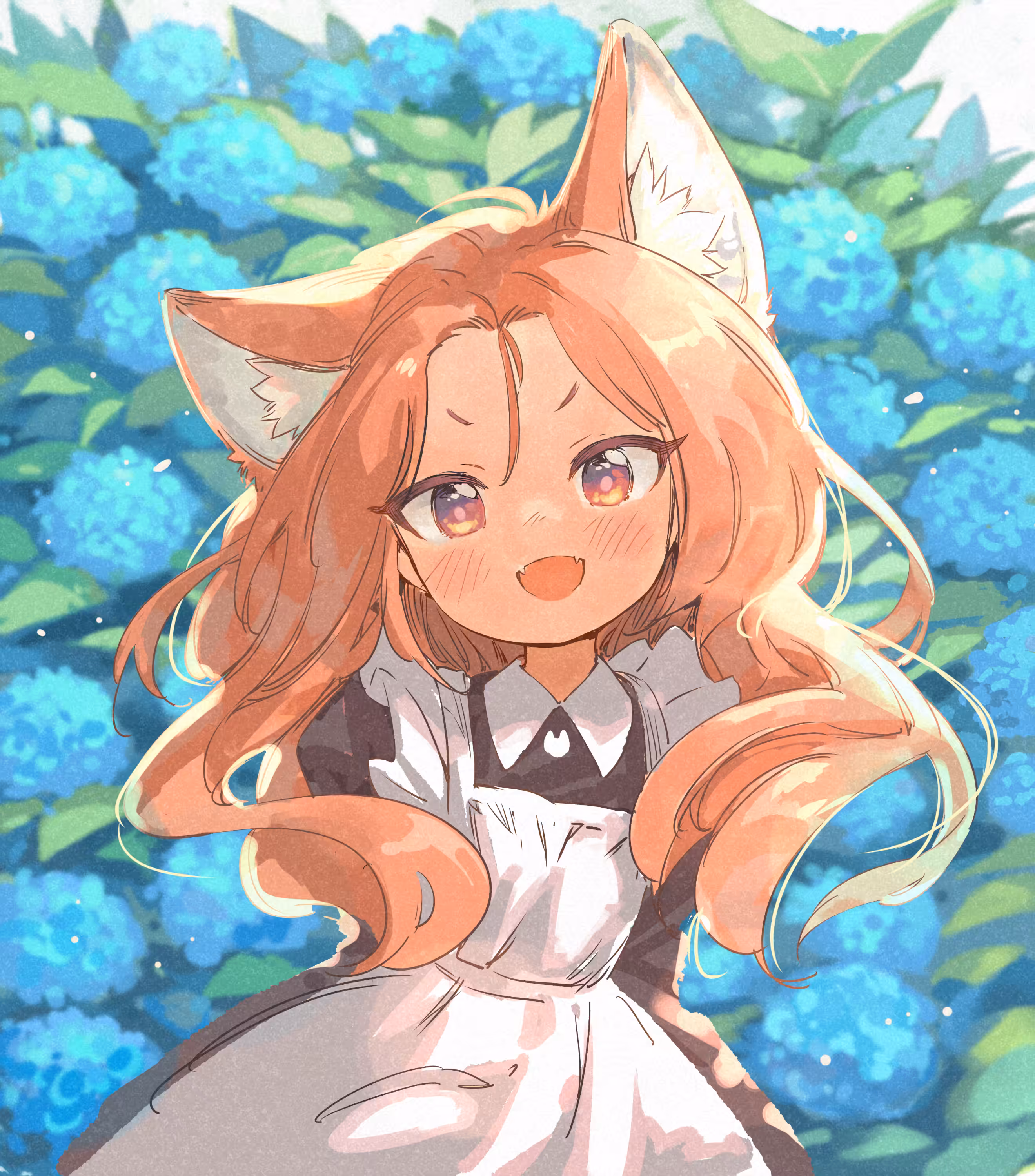 Hydrangea