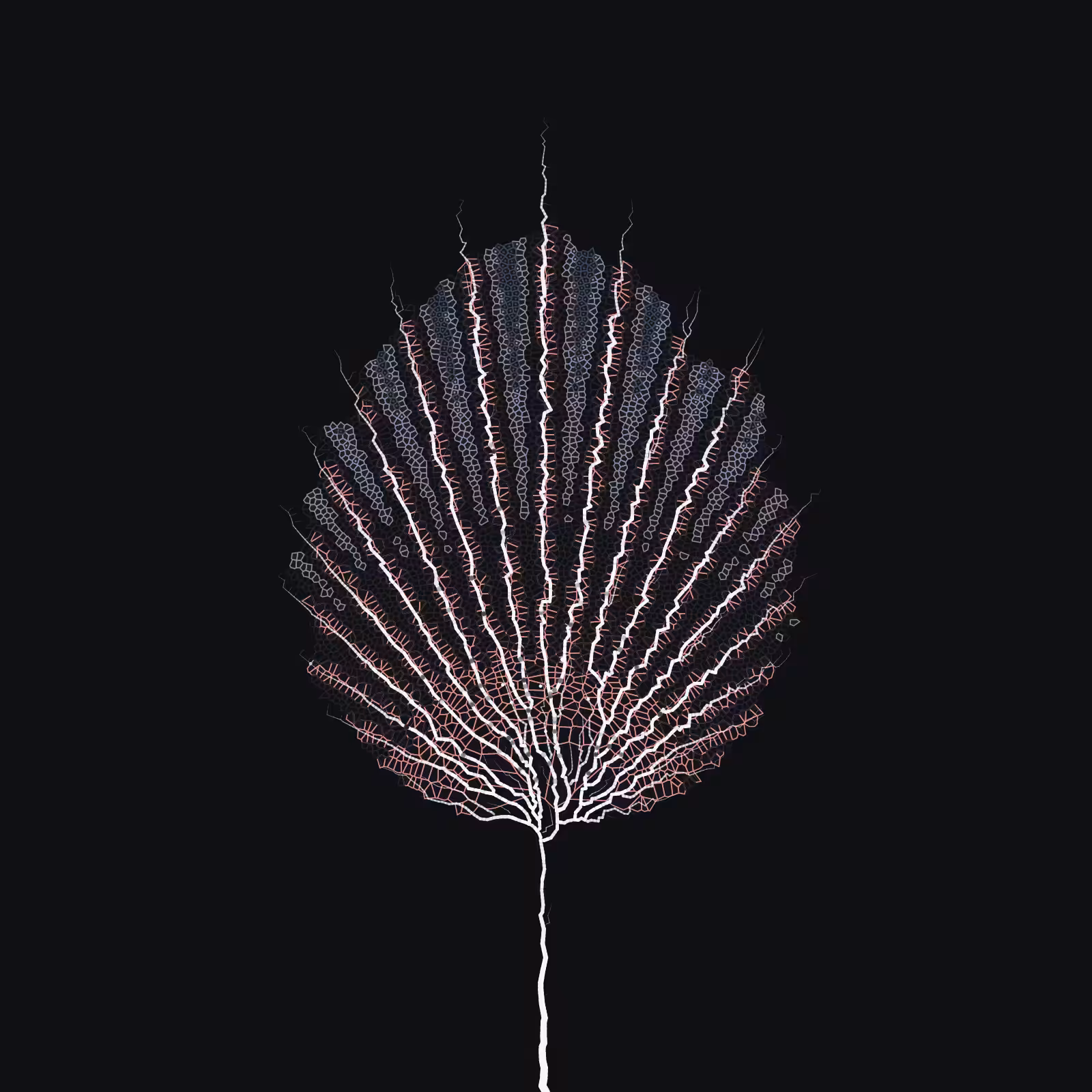 Leaf study #42