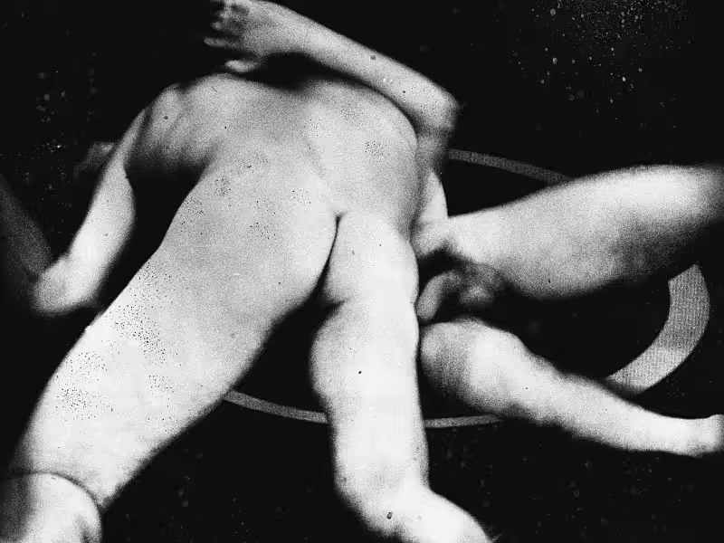 Wrestlers 2 