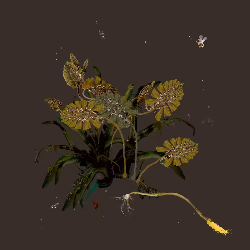 Generative Still Life: Still Life 17.0 #12