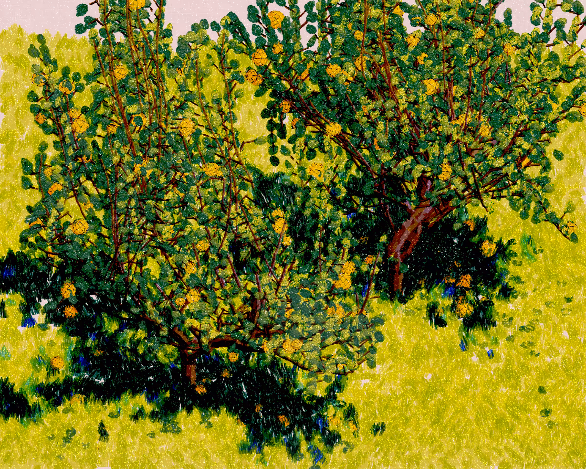 Old Grove #5