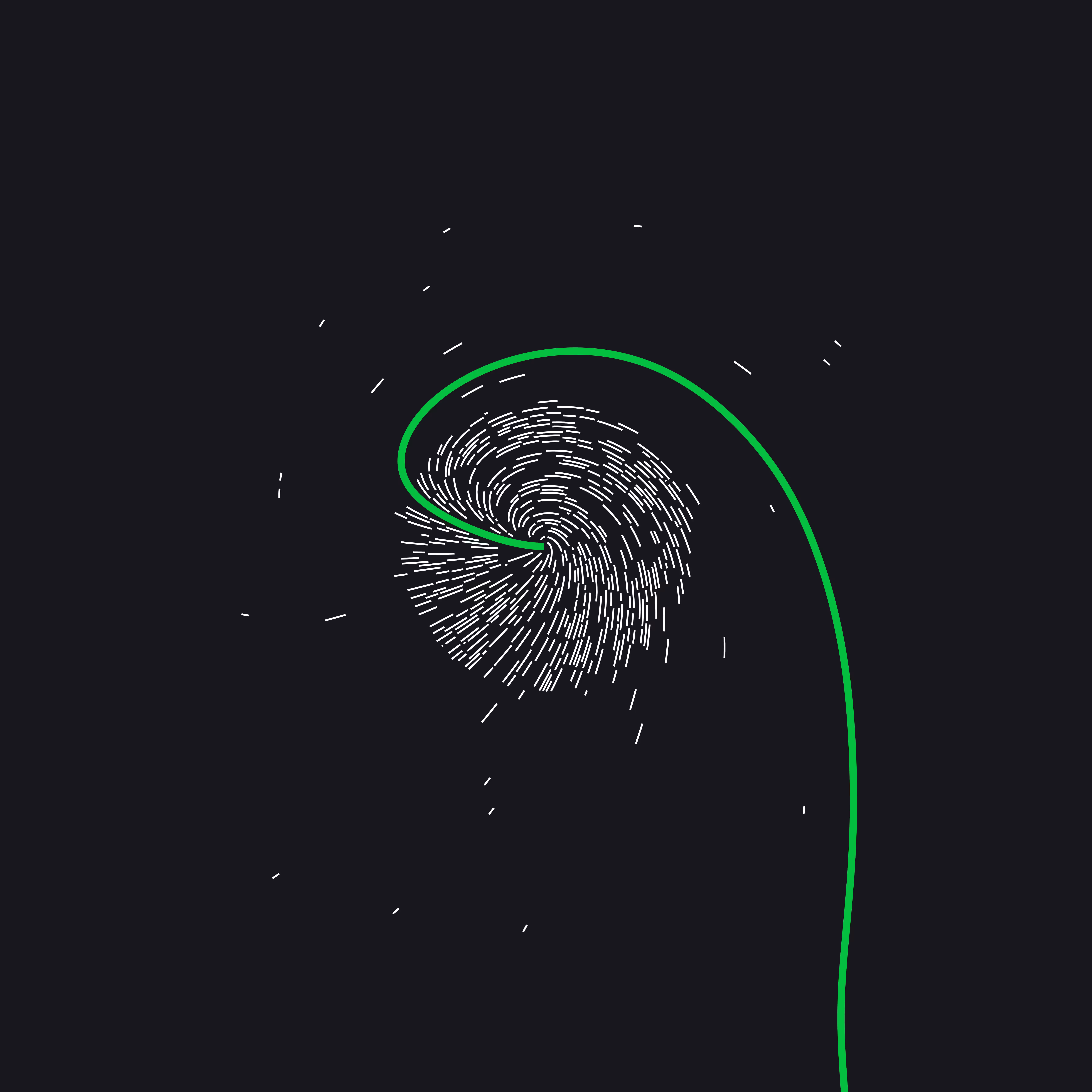 Memetic Dandelion 003