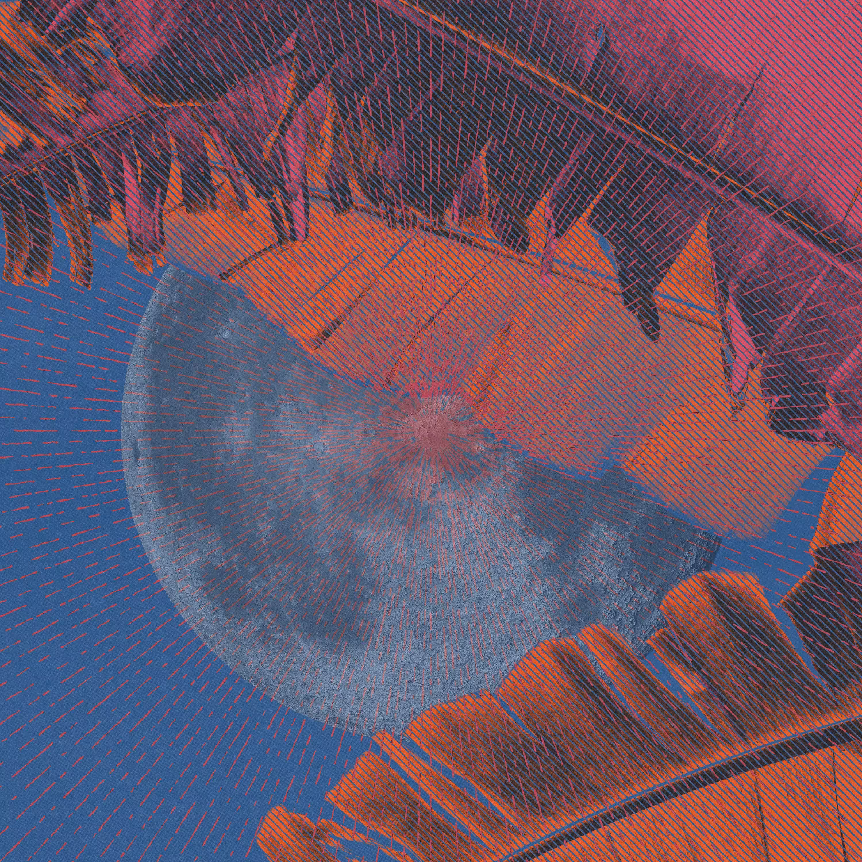 Tropical Moonrise