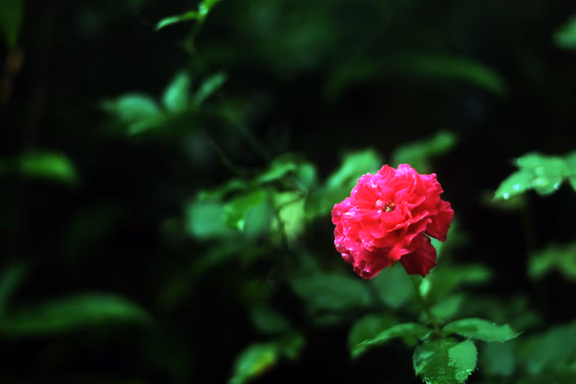 Think Blue, Not Red or Green