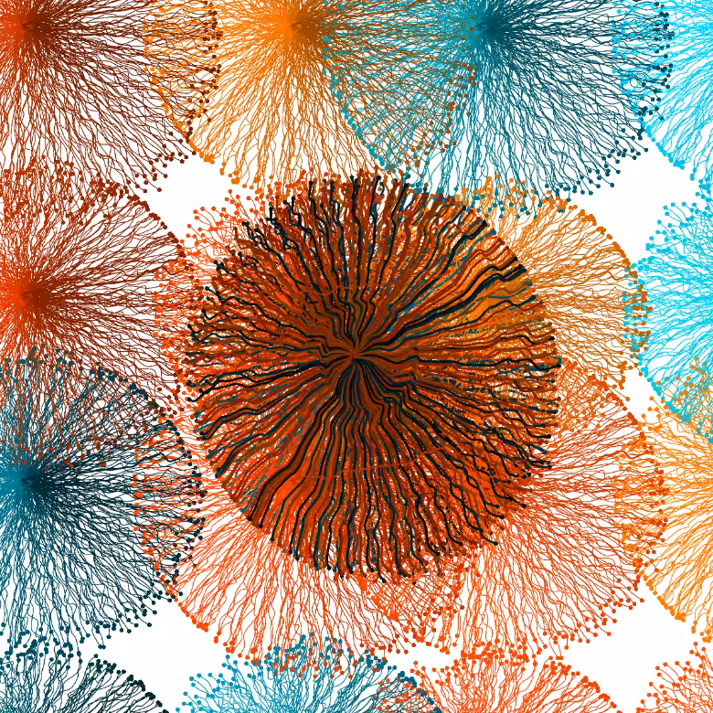 CircuWeb #14