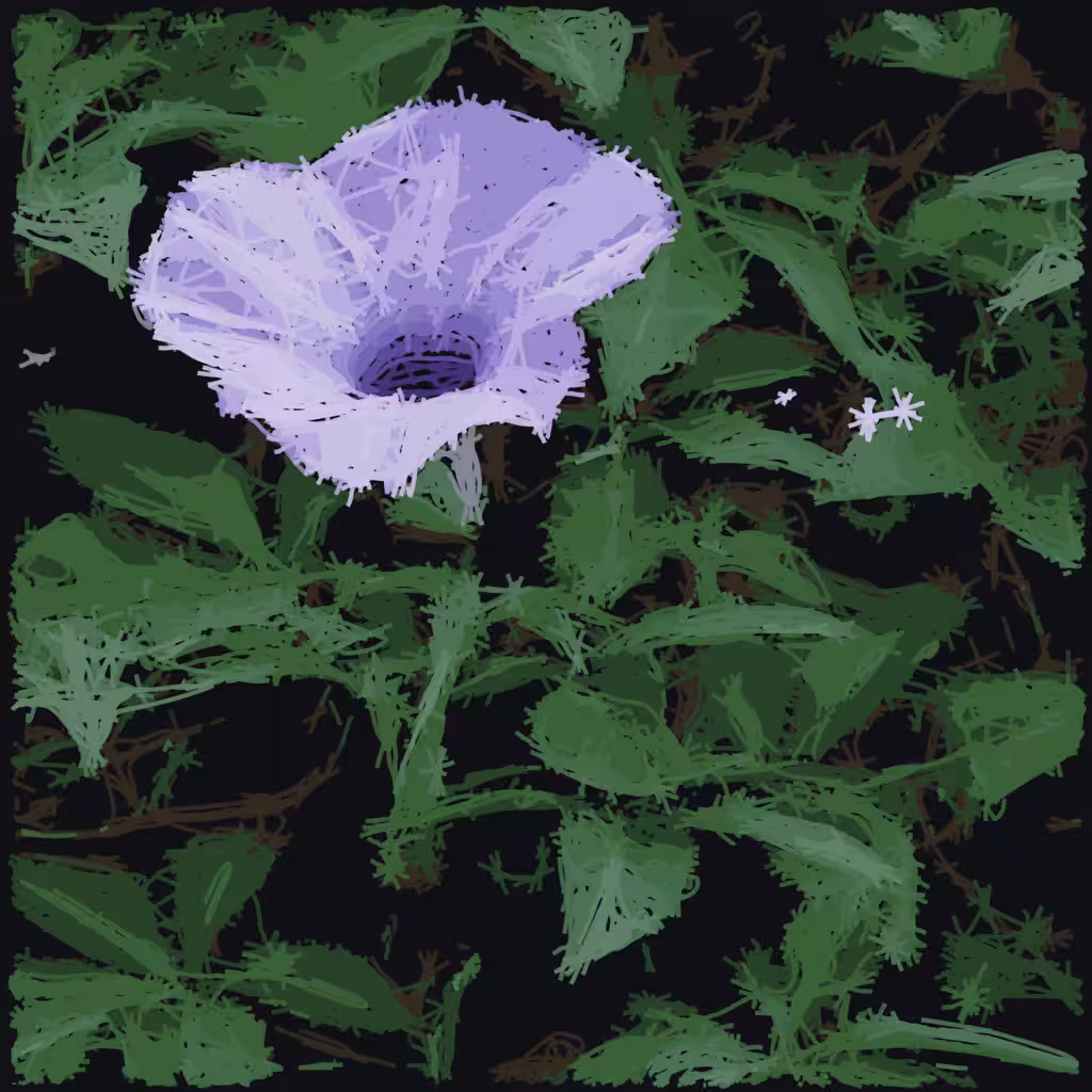 Morning glory flower