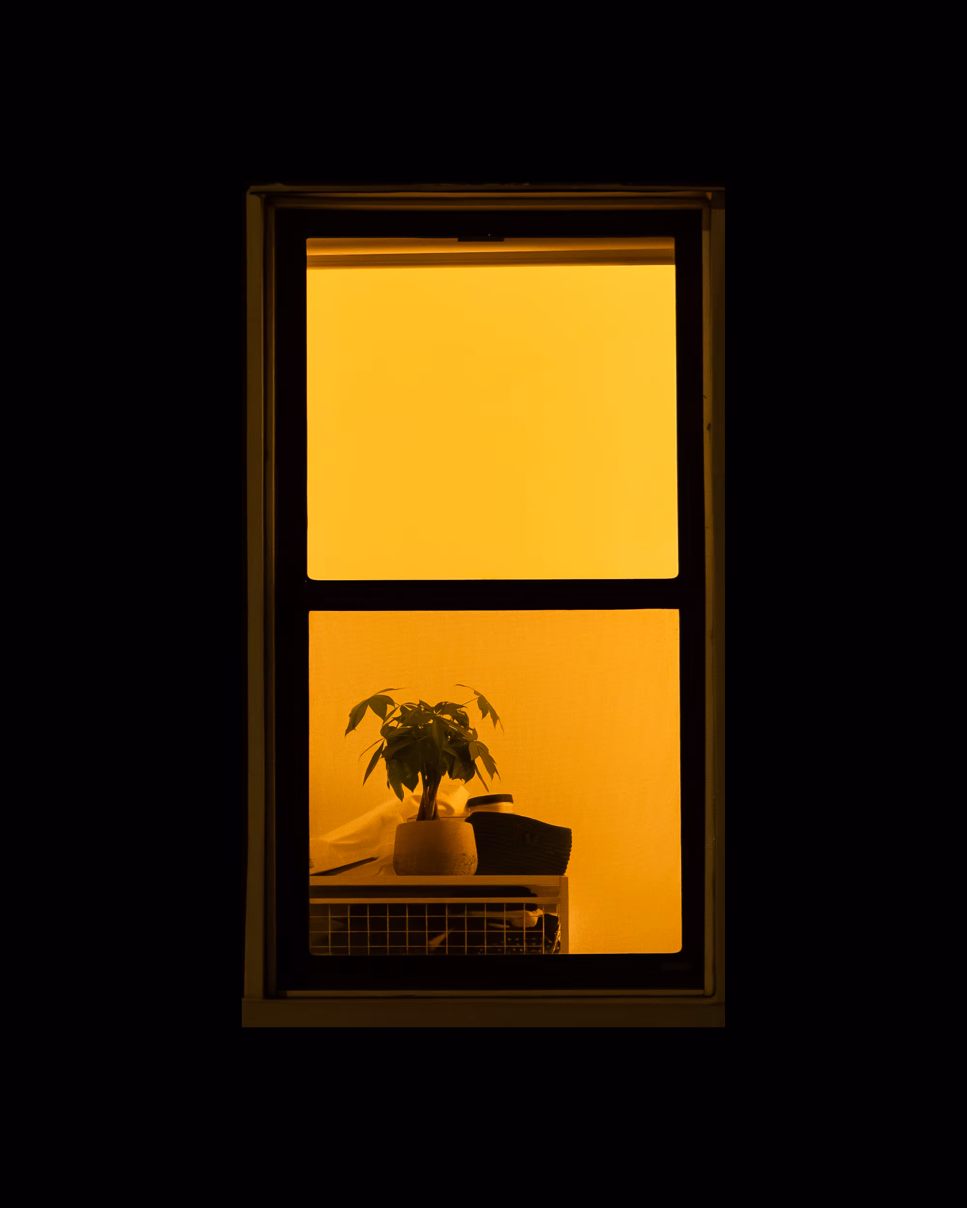 WINDOW 640