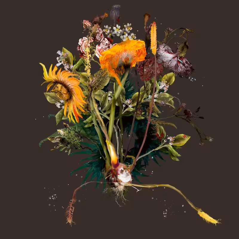 Generative Still Life: Still Life 17.0 #32