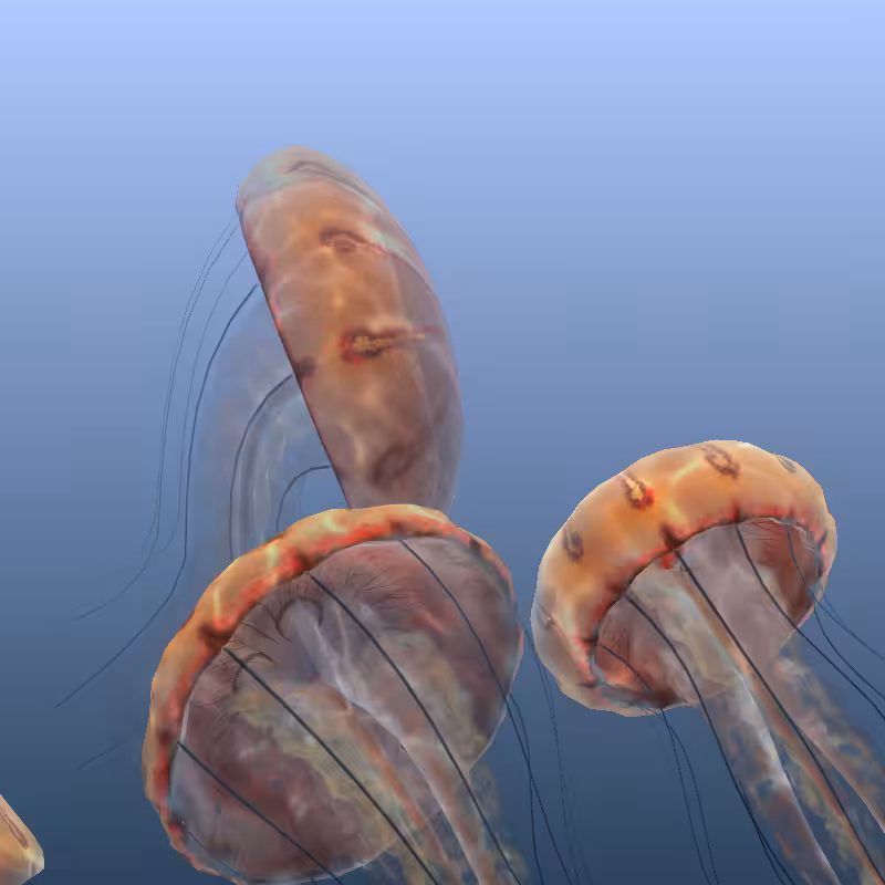 Jellyfish #3