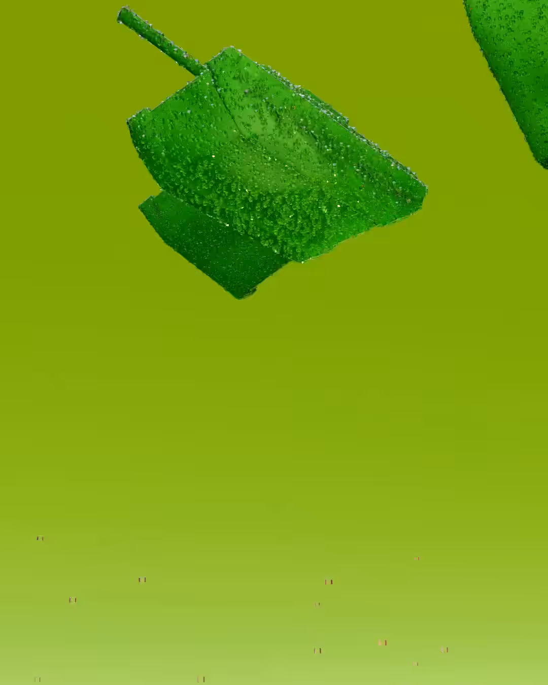 Bite the Bullet