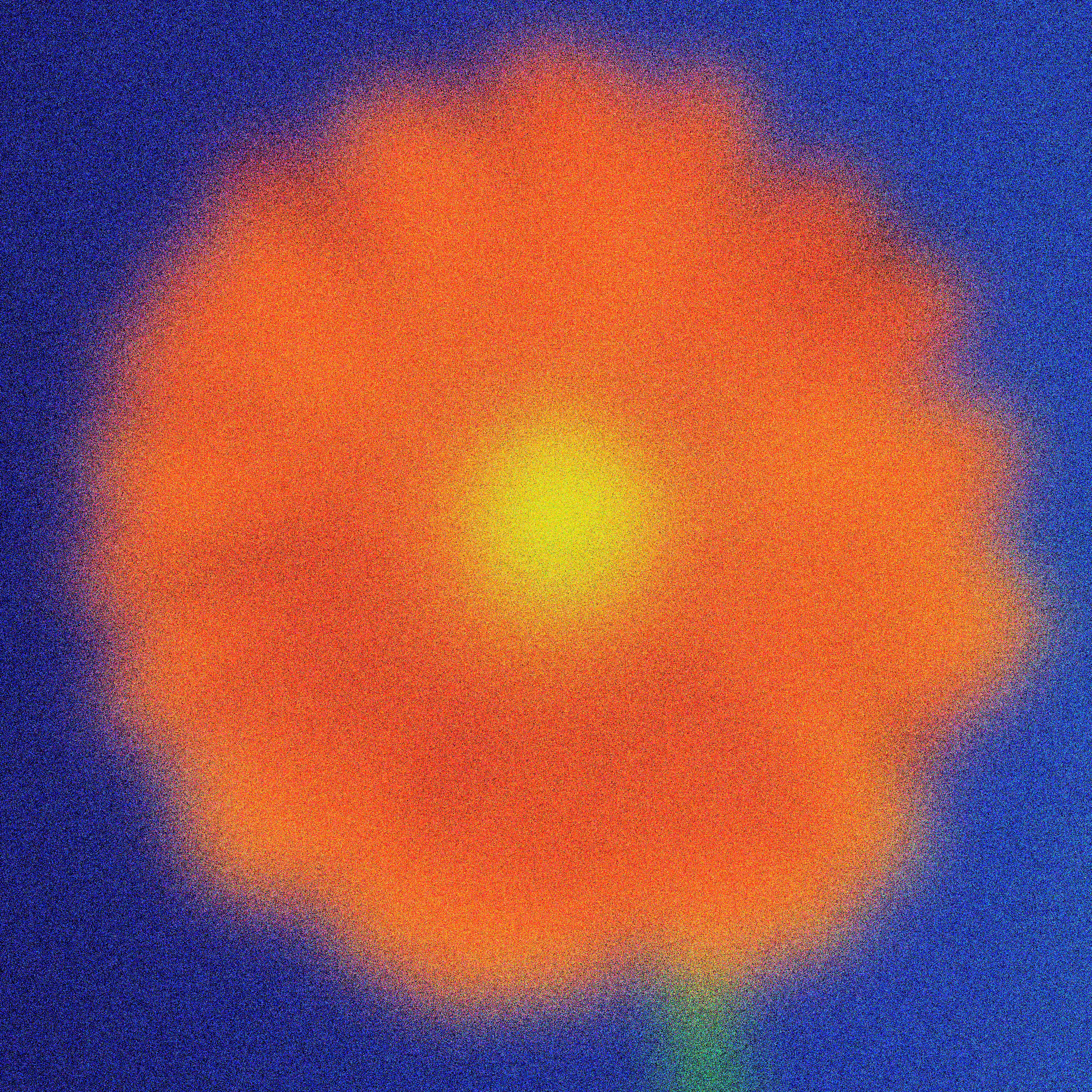 FLOWER (2)