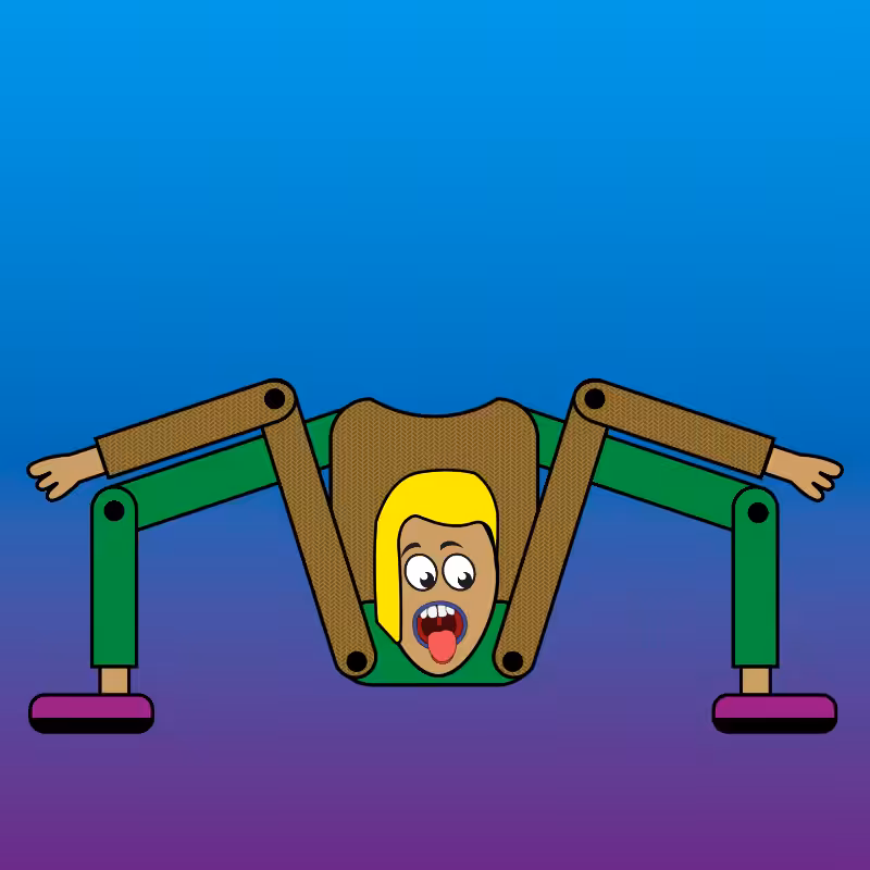 NOBODY SPIDER  #70