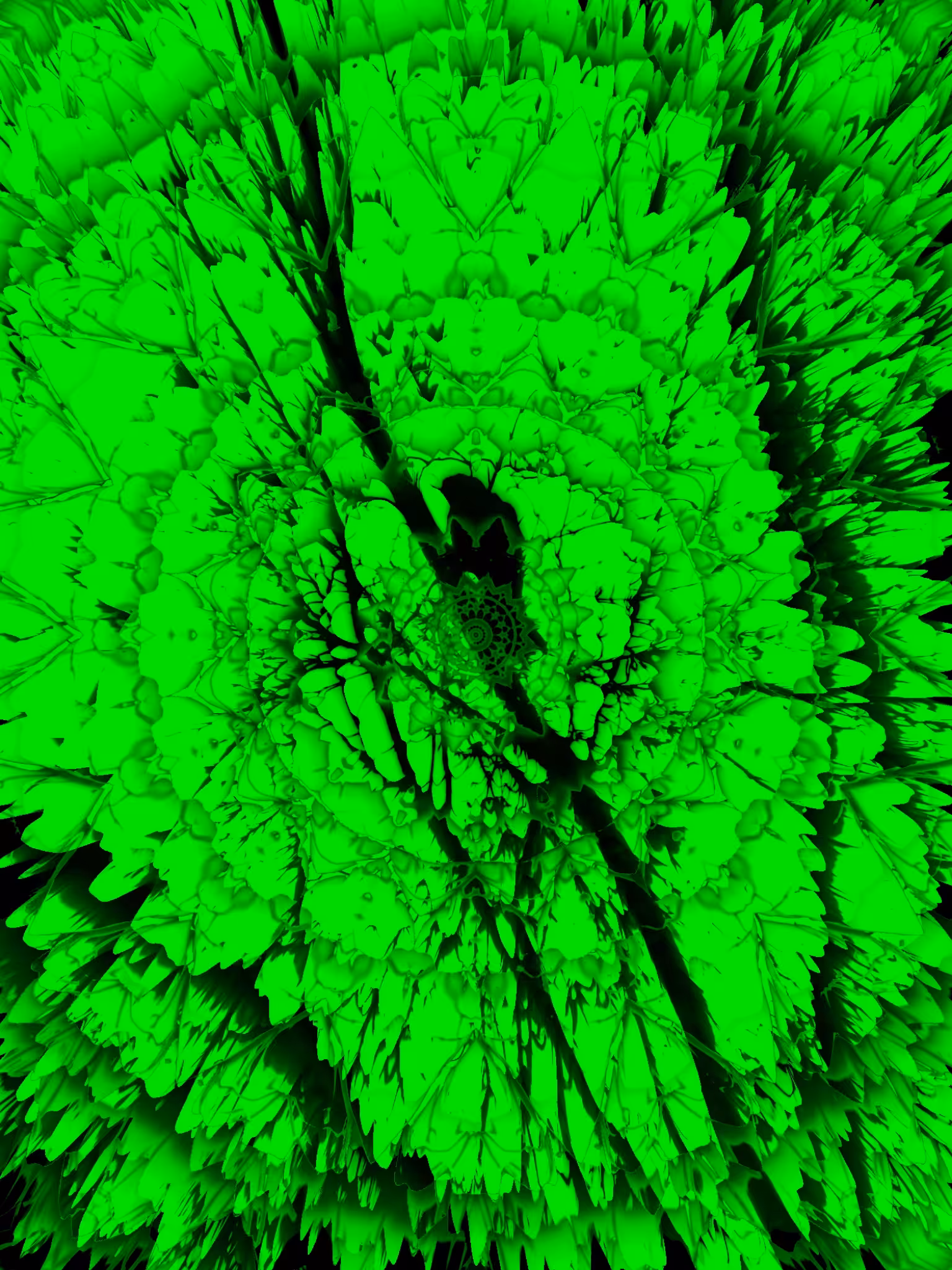Acid Trip Green Crow Kaleidoscope 